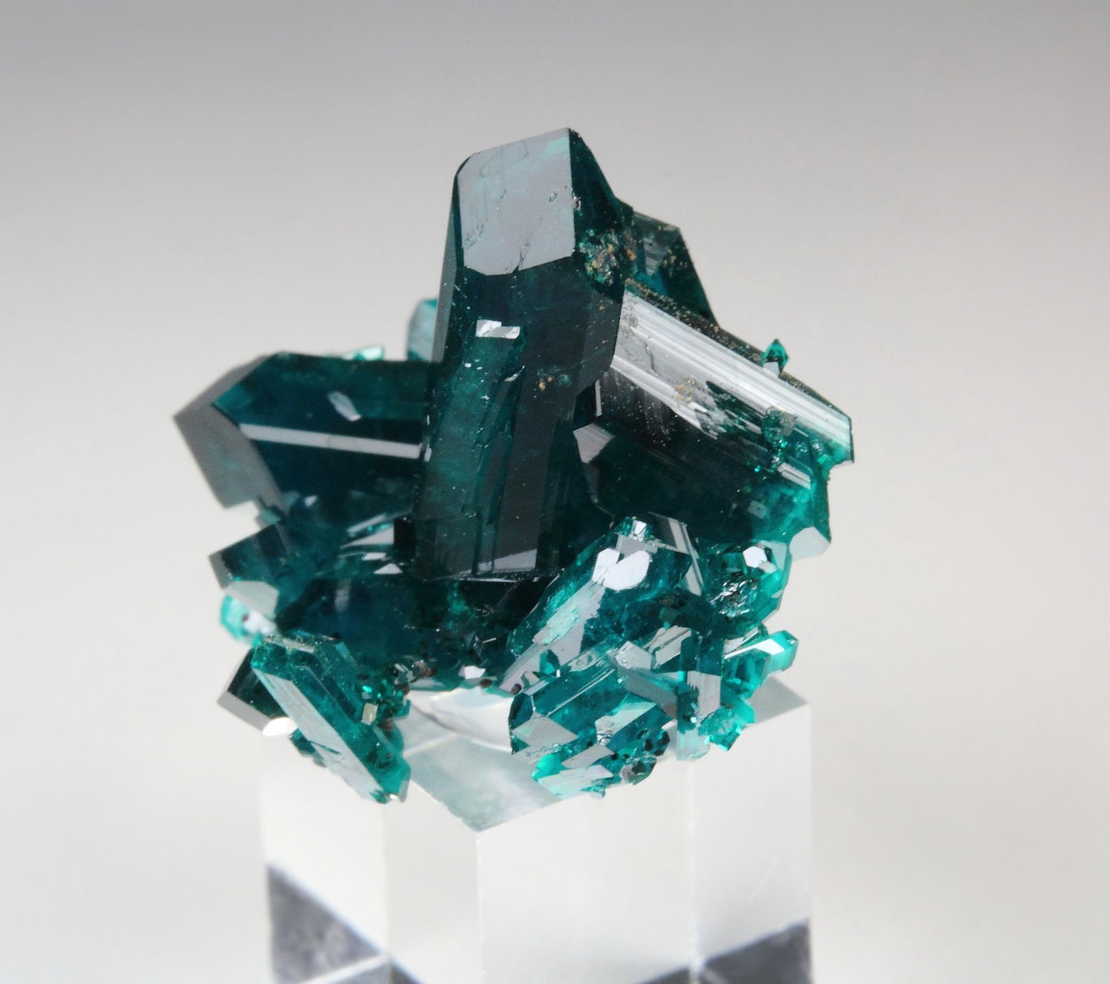new find - DIOPTASE 
