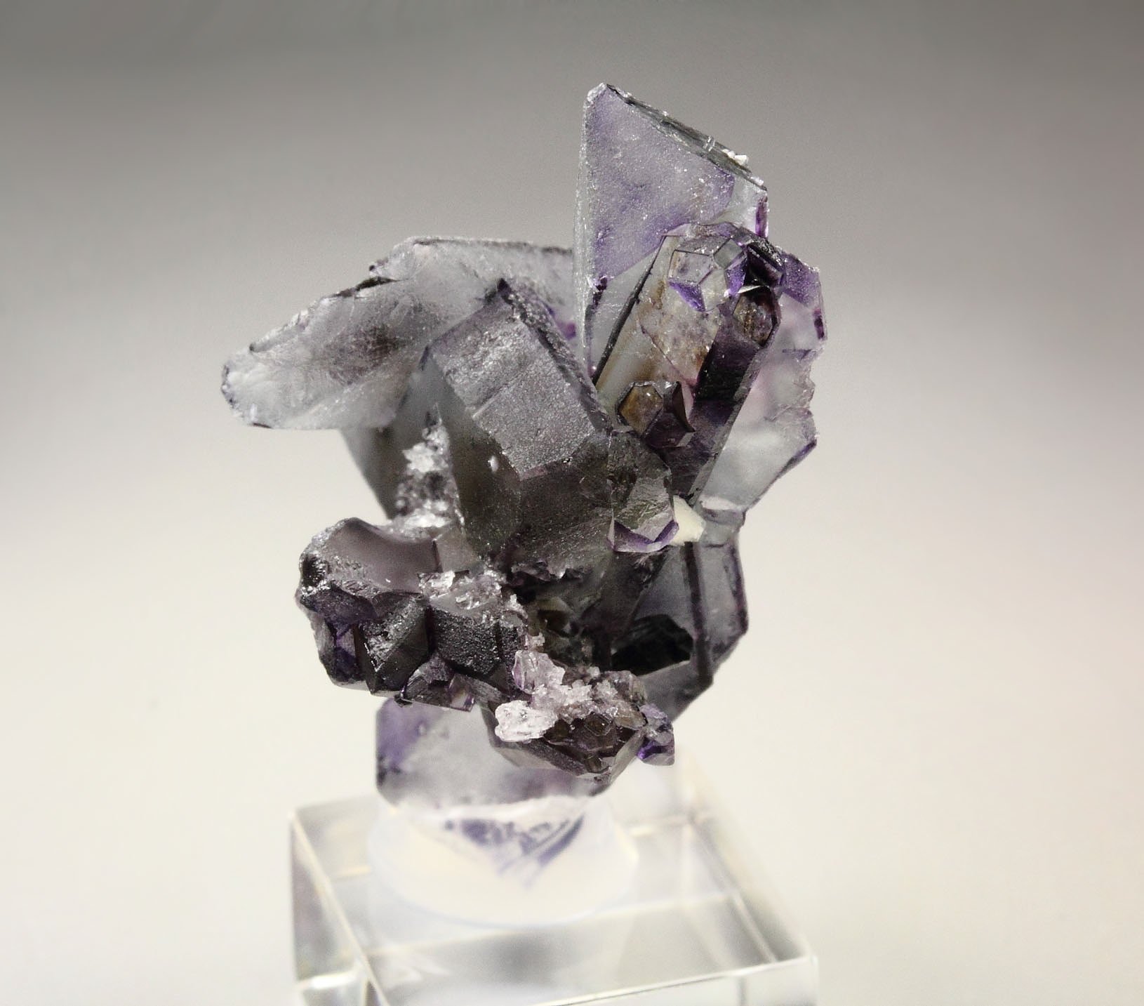 new find - FLUORITE - SPINEL LAW TWIN