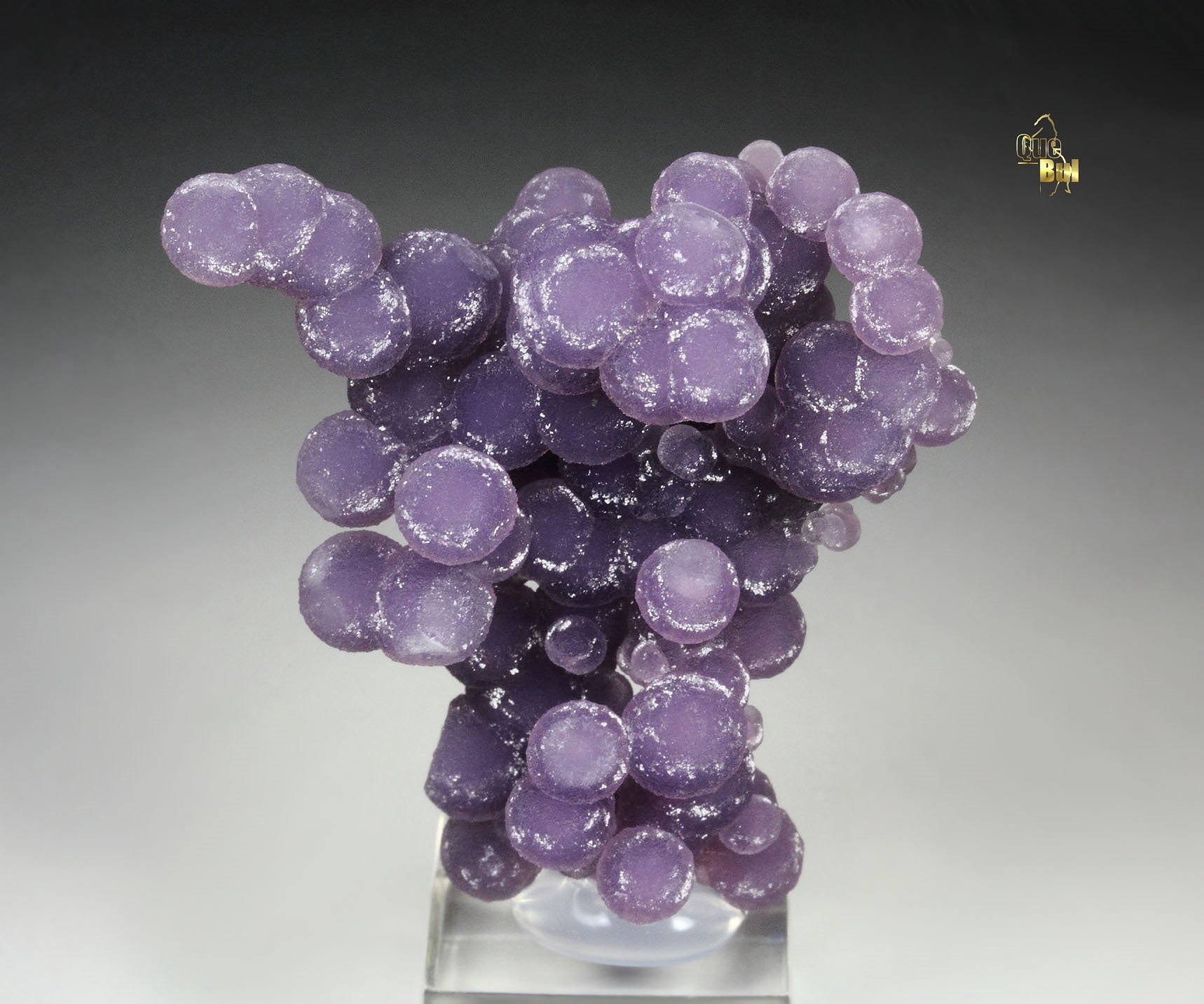 QUARTZ var. AMETHYST - grape agate