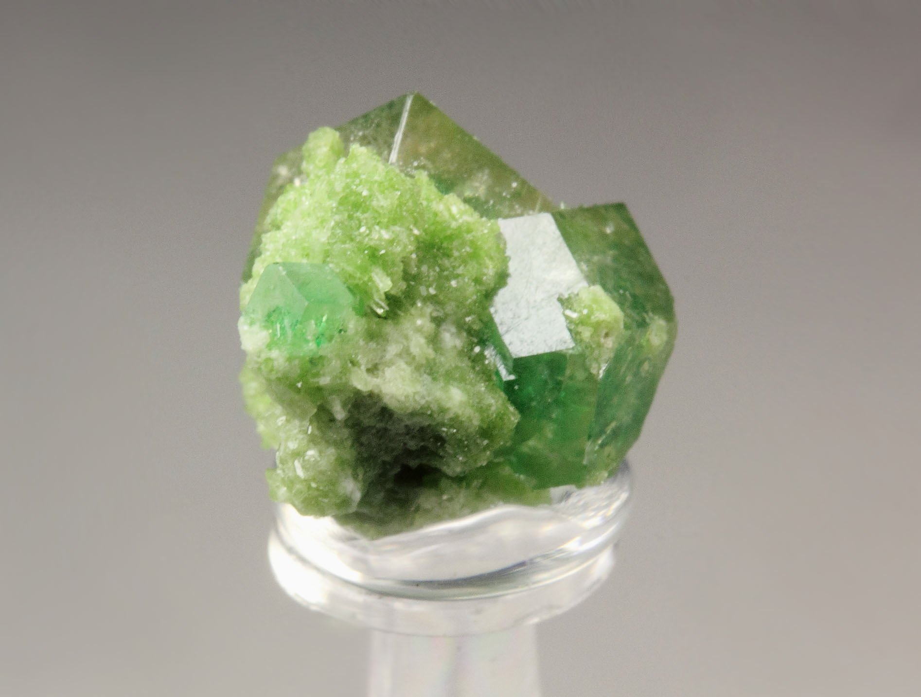 gem GARNET var. GROSSULAR with GREEN CHROMIAN PHANTOMS. DIOPSIDE