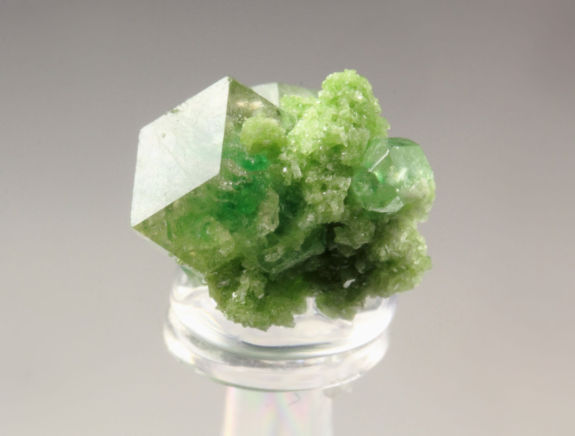 gem GARNET var. GROSSULAR with GREEN CHROMIAN PHANTOMS. DIOPSIDE