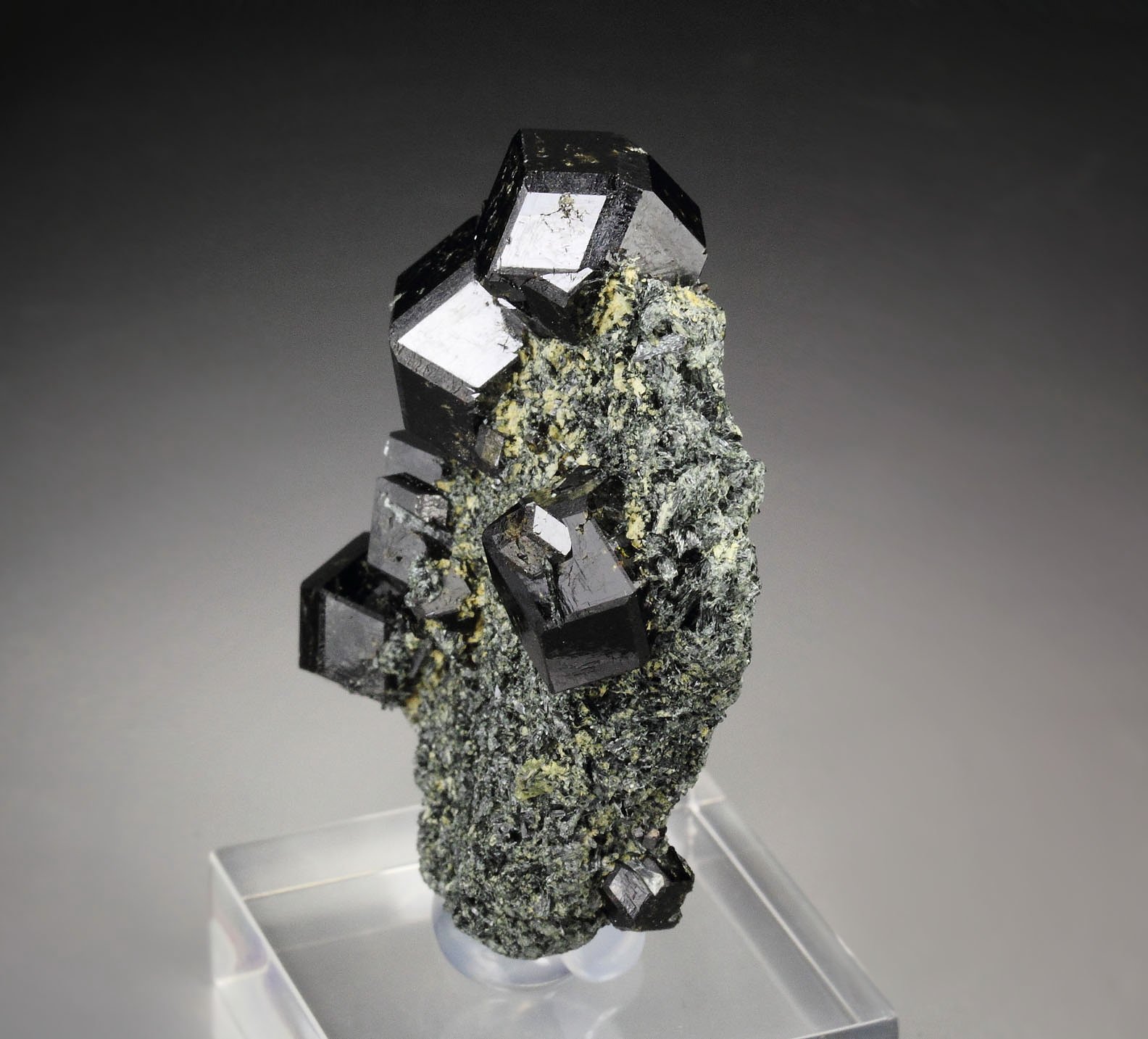 GARNET var. ANDRADITE var. MELANITE