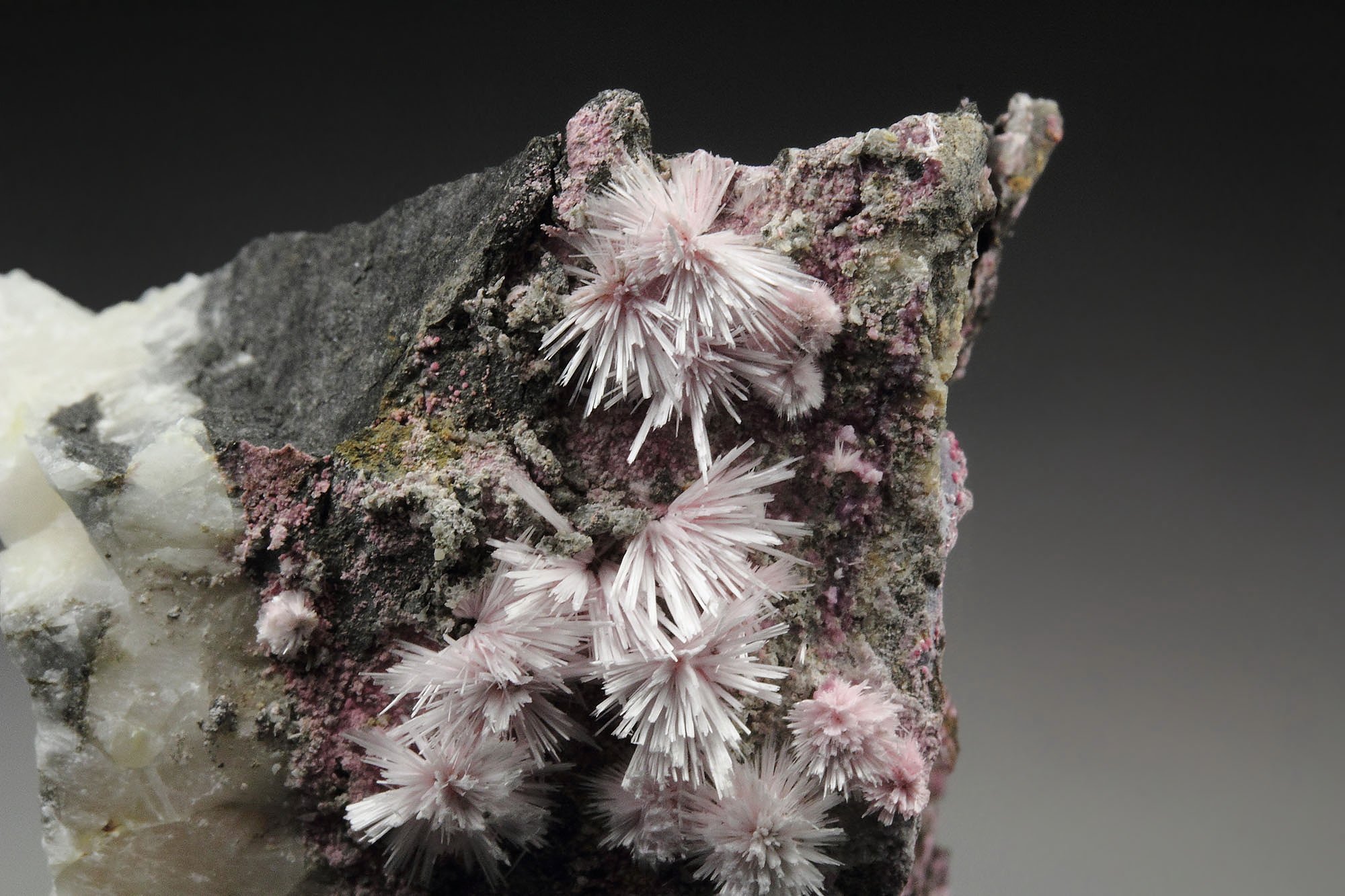 PICROPHARMACOLITE, ERYTHRITE