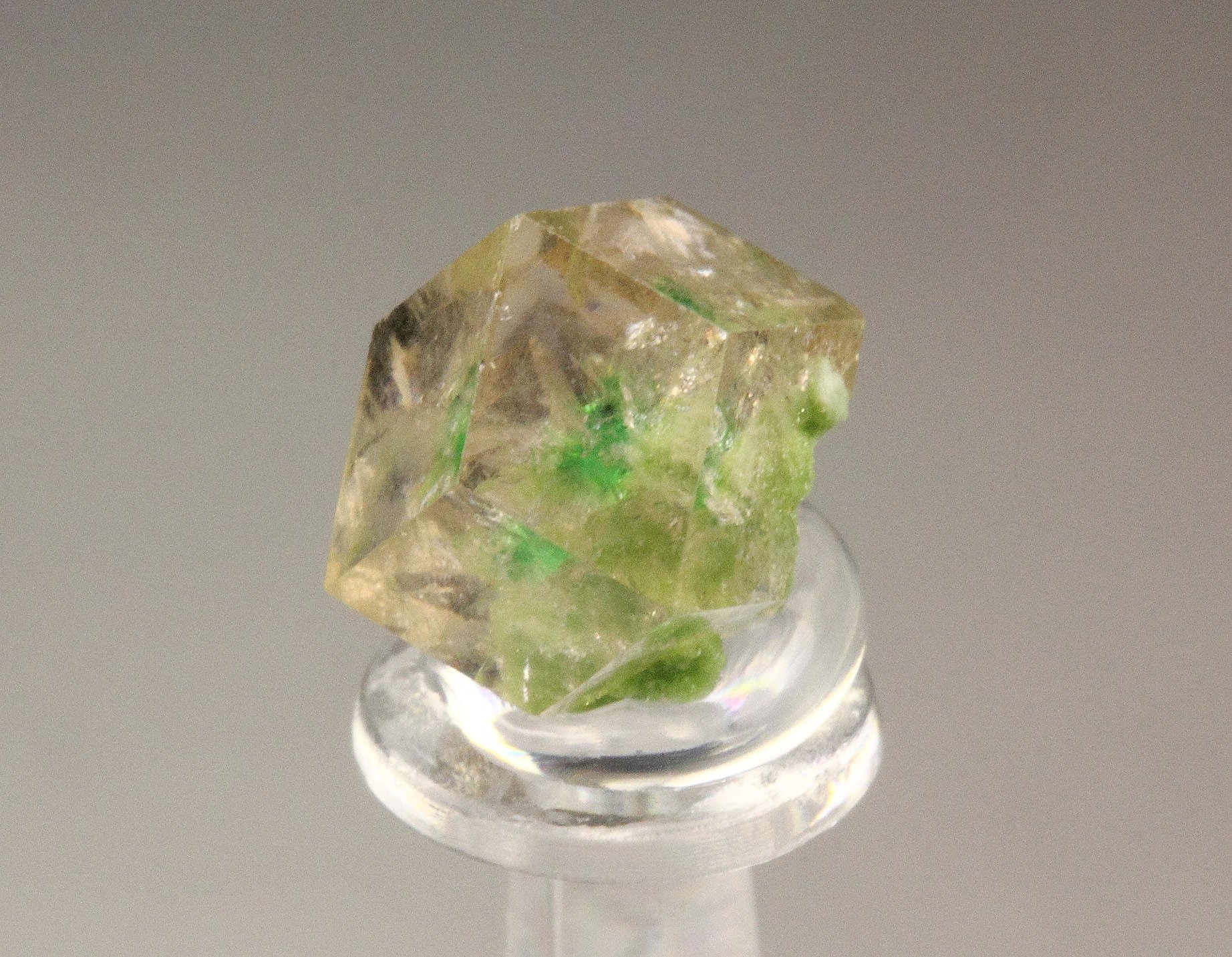 gem GARNET var. GROSSULAR with GREEN CHROMIAN PHANTOM