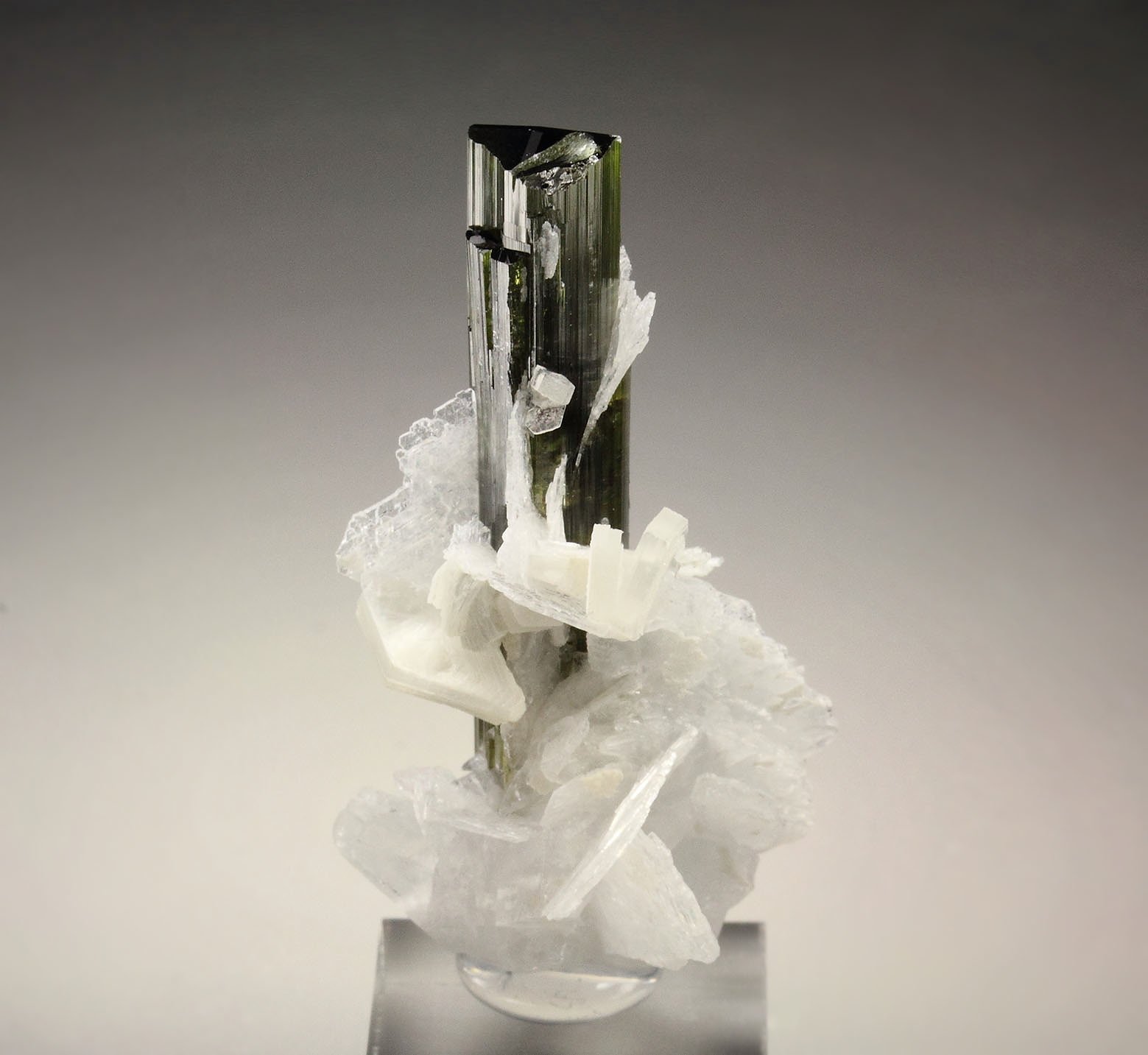 gem TOURMALINE var. ELBAITE, ALBITE, MUSCOVITE