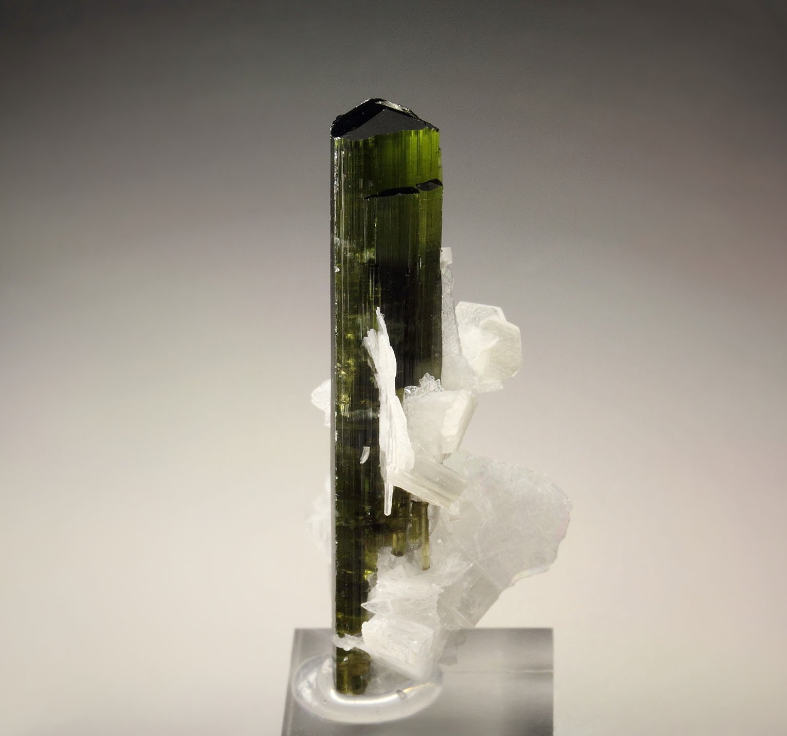 gem TOURMALINE var. ELBAITE, ALBITE, MUSCOVITE