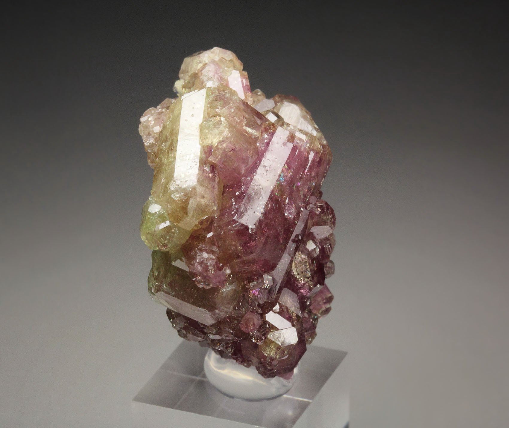 gemmy bi-terminated VESUVIANITE bi-color