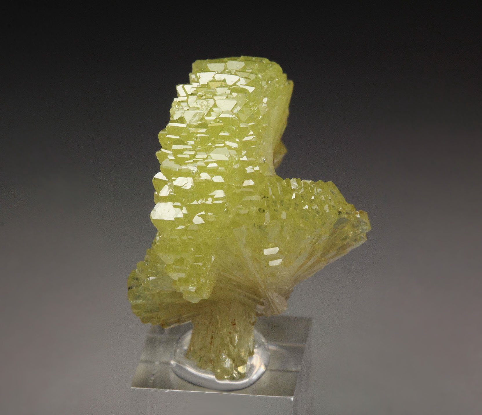 ADAMITE