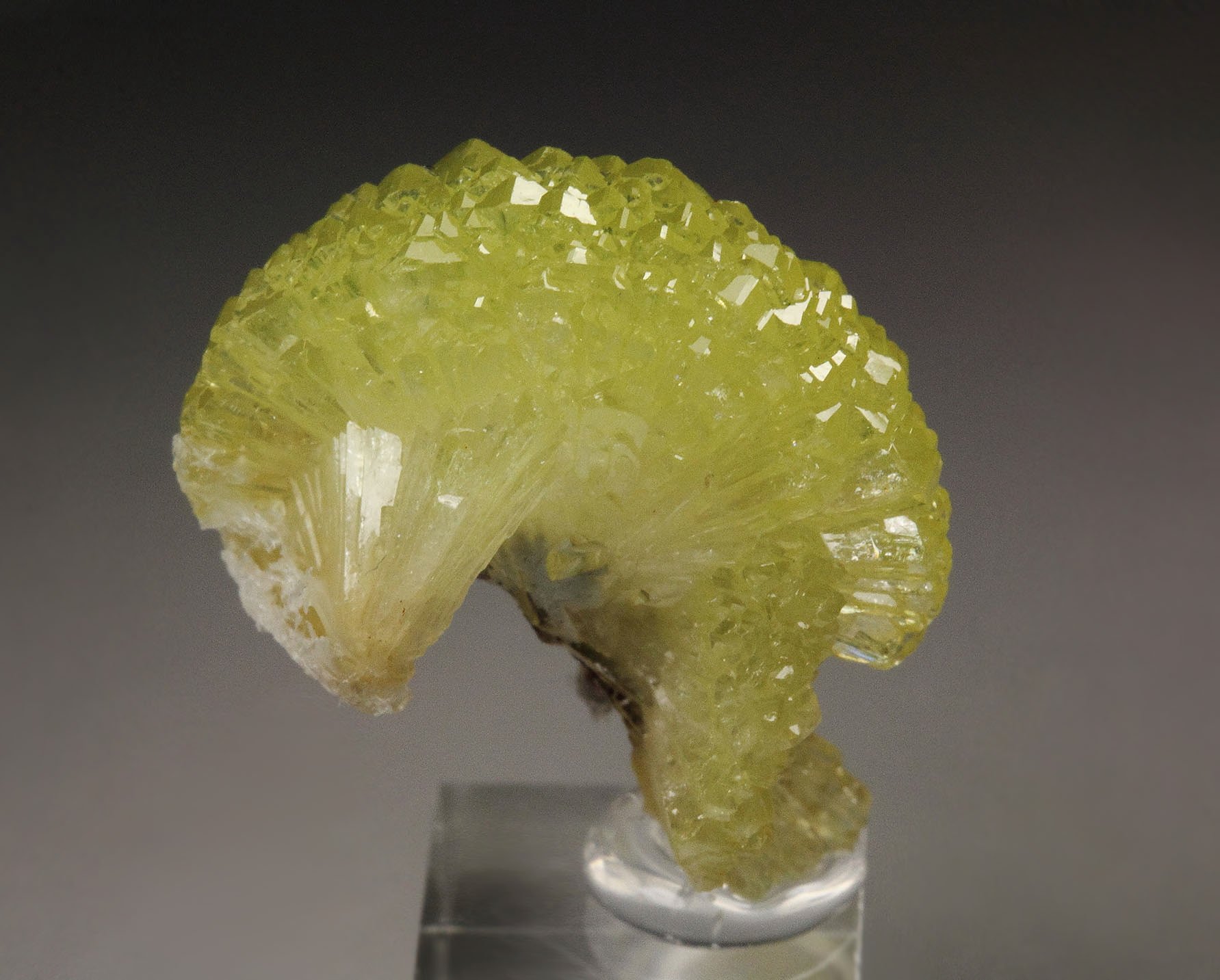 ADAMITE