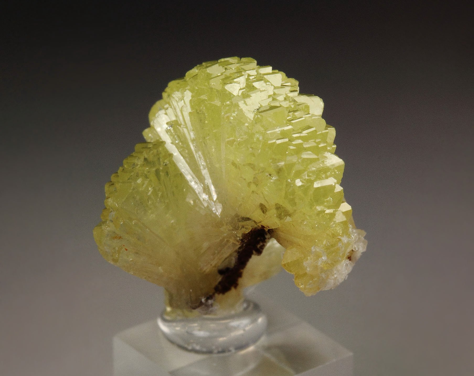 ADAMITE