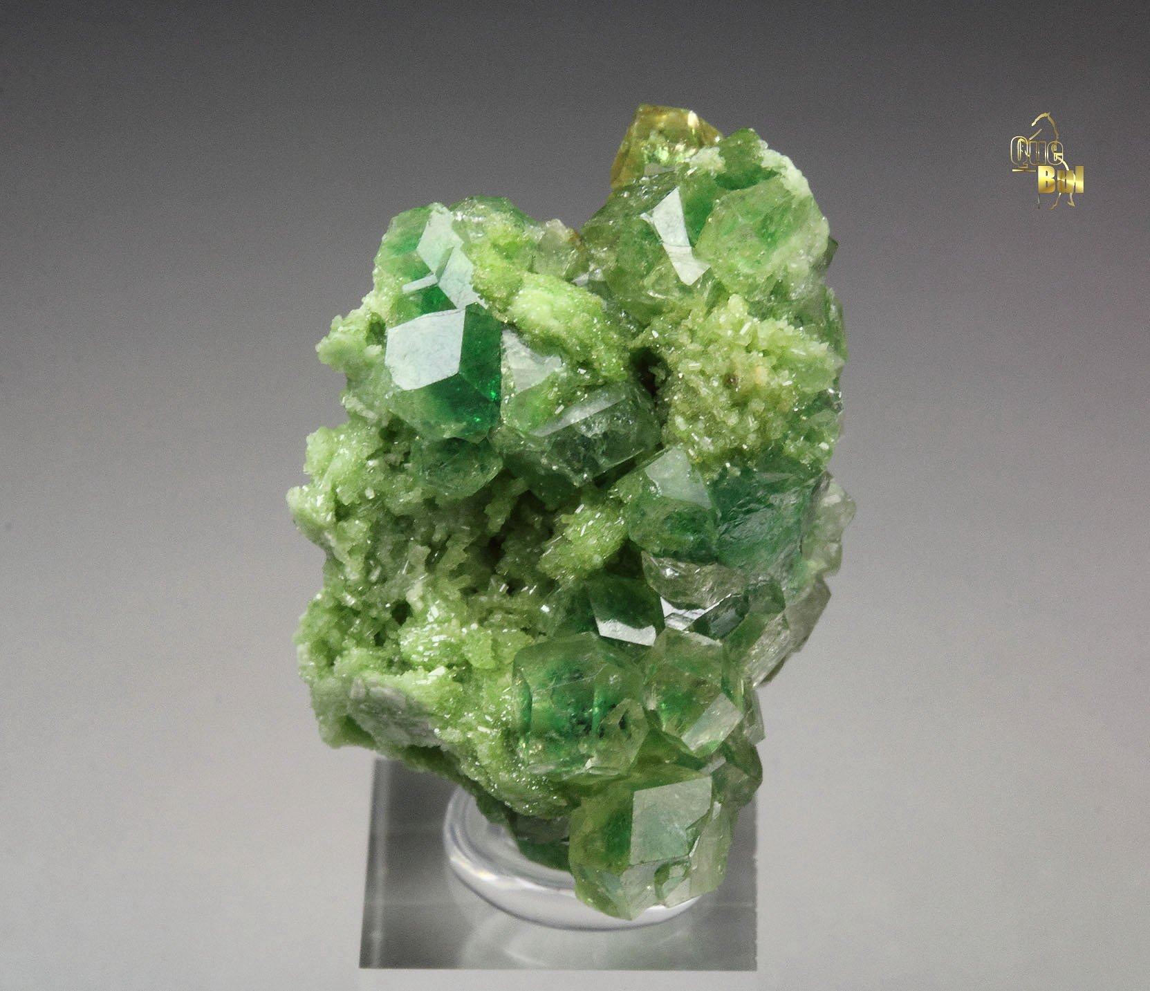 gem GARNET var. GROSSULAR with GREEN CHROMIAN PHANTOMS, DIOPSIDE