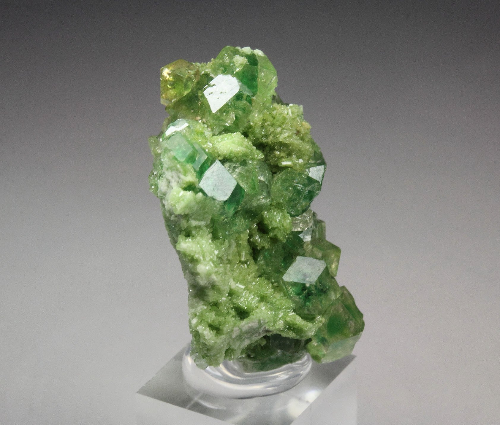 gem GARNET var. GROSSULAR with GREEN CHROMIAN PHANTOMS, DIOPSIDE