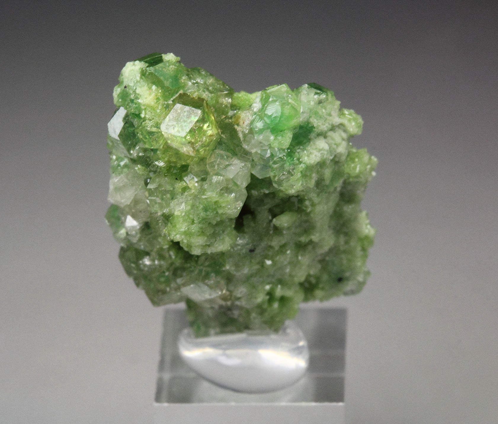 gem GARNET var. GROSSULAR with GREEN CHROMIAN PHANTOMS, DIOPSIDE