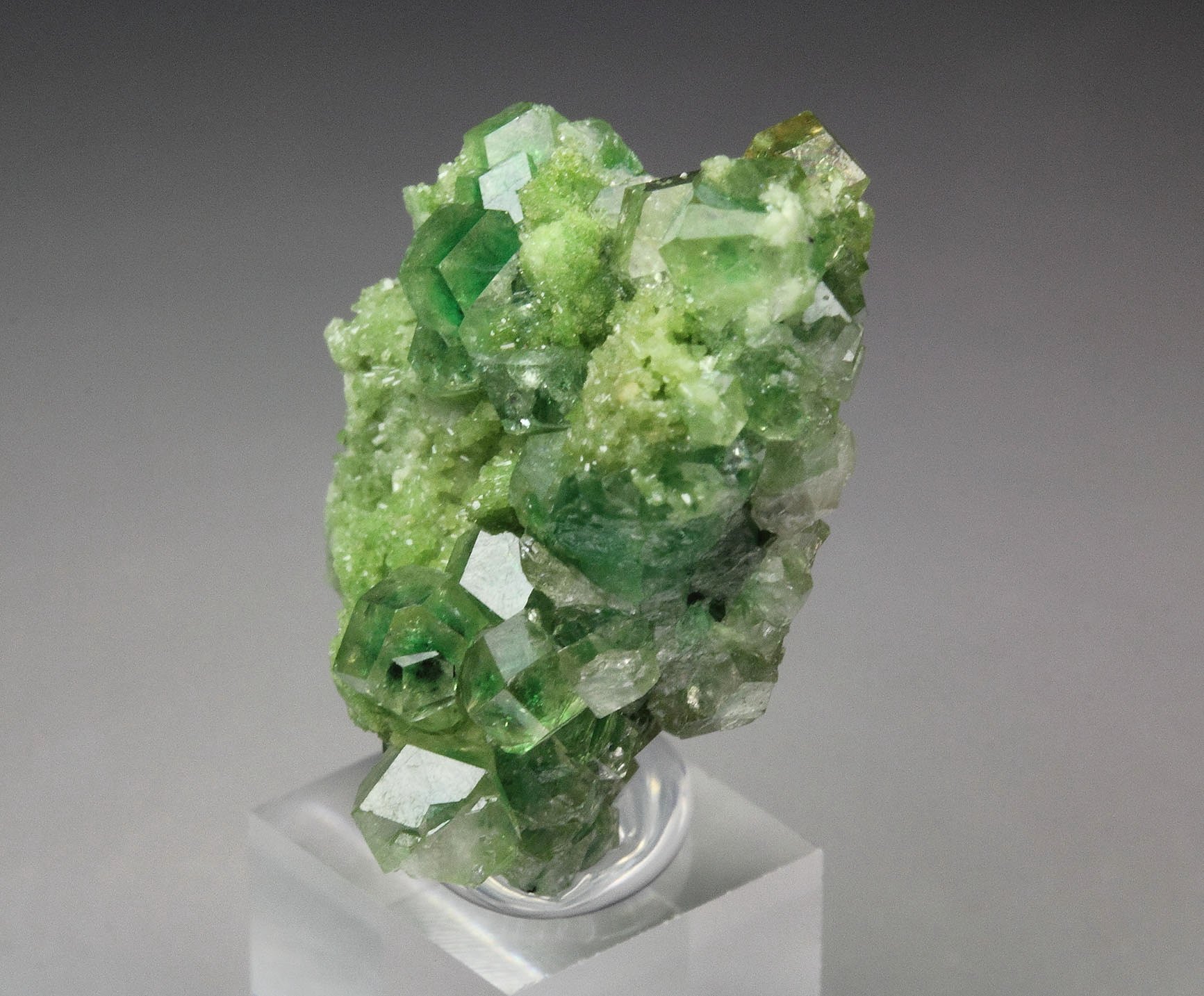 gem GARNET var. GROSSULAR with GREEN CHROMIAN PHANTOMS, DIOPSIDE