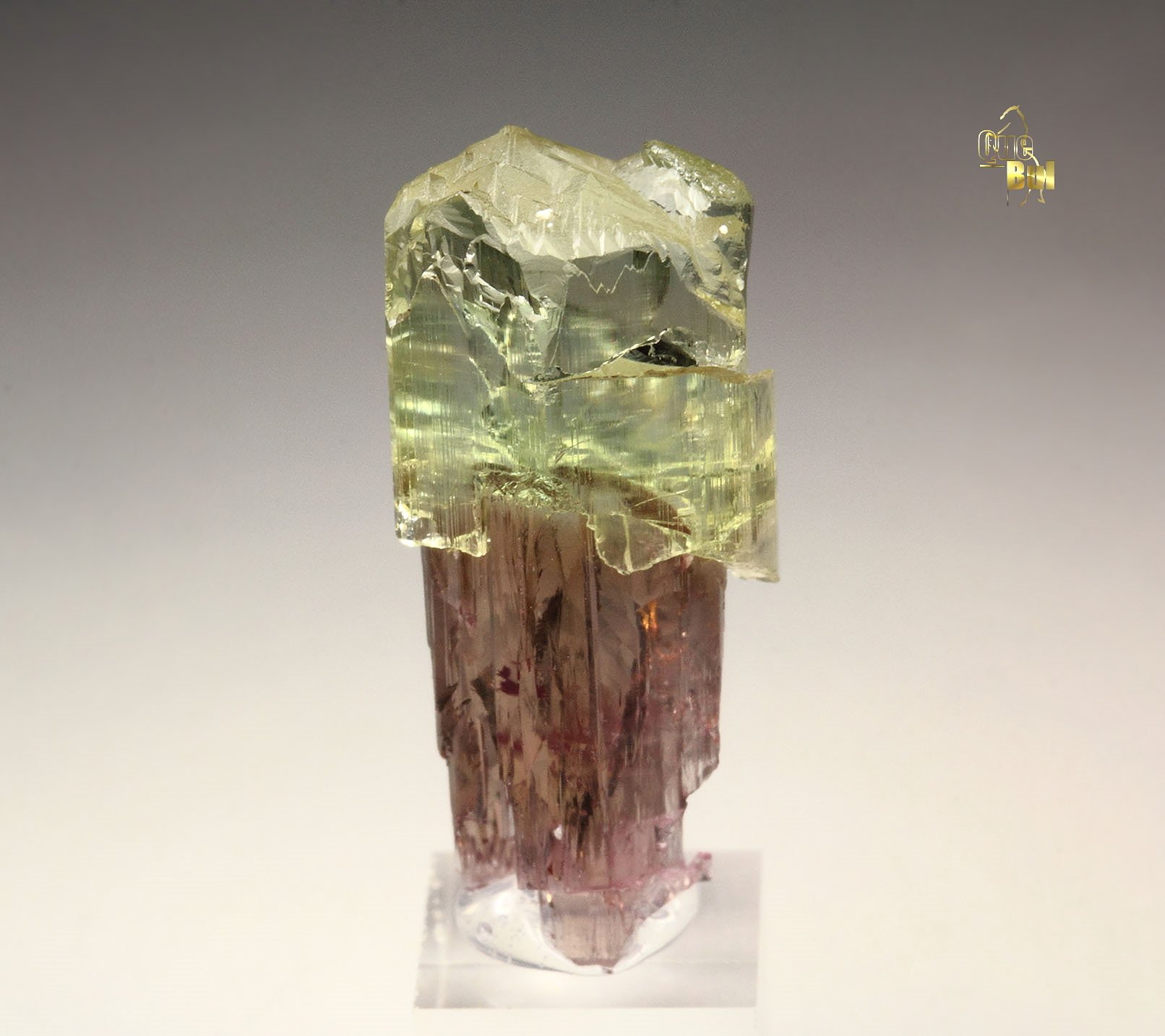 scepter TOURMALINE var. ELBAITE