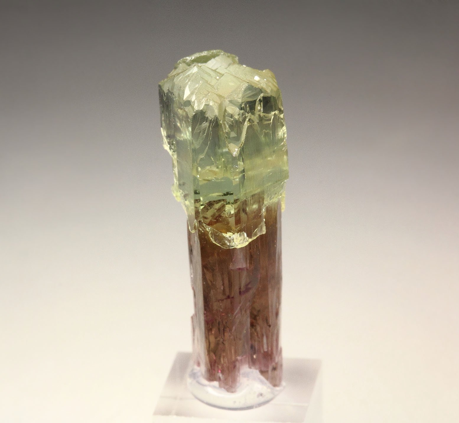 scepter TOURMALINE var. ELBAITE