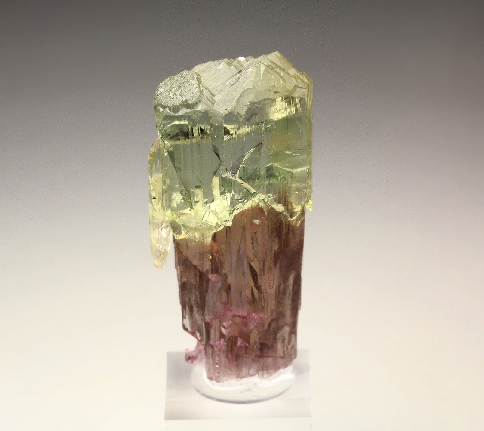 scepter TOURMALINE var. ELBAITE