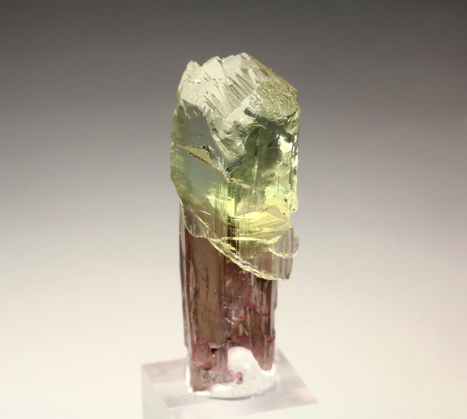 scepter TOURMALINE var. ELBAITE