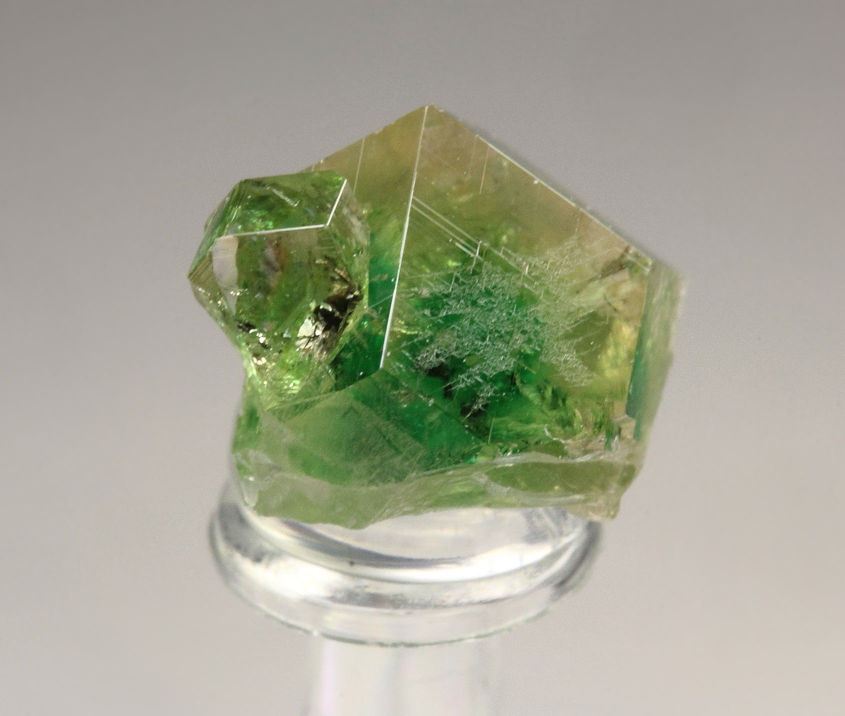 gem GARNET var. GROSSULAR with GREEN CHROMIAN PHANTOMS