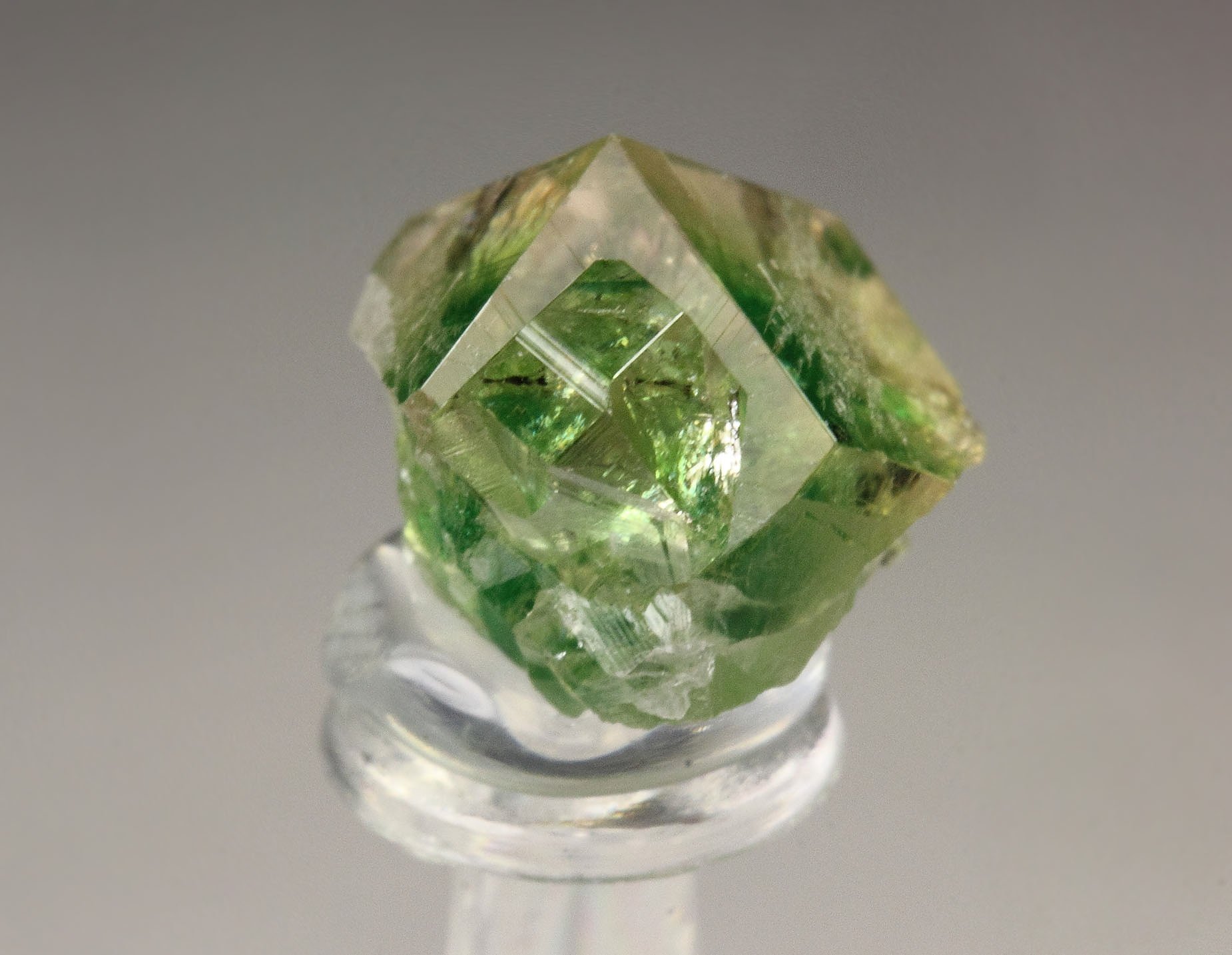 gem GARNET var. GROSSULAR with GREEN CHROMIAN PHANTOMS