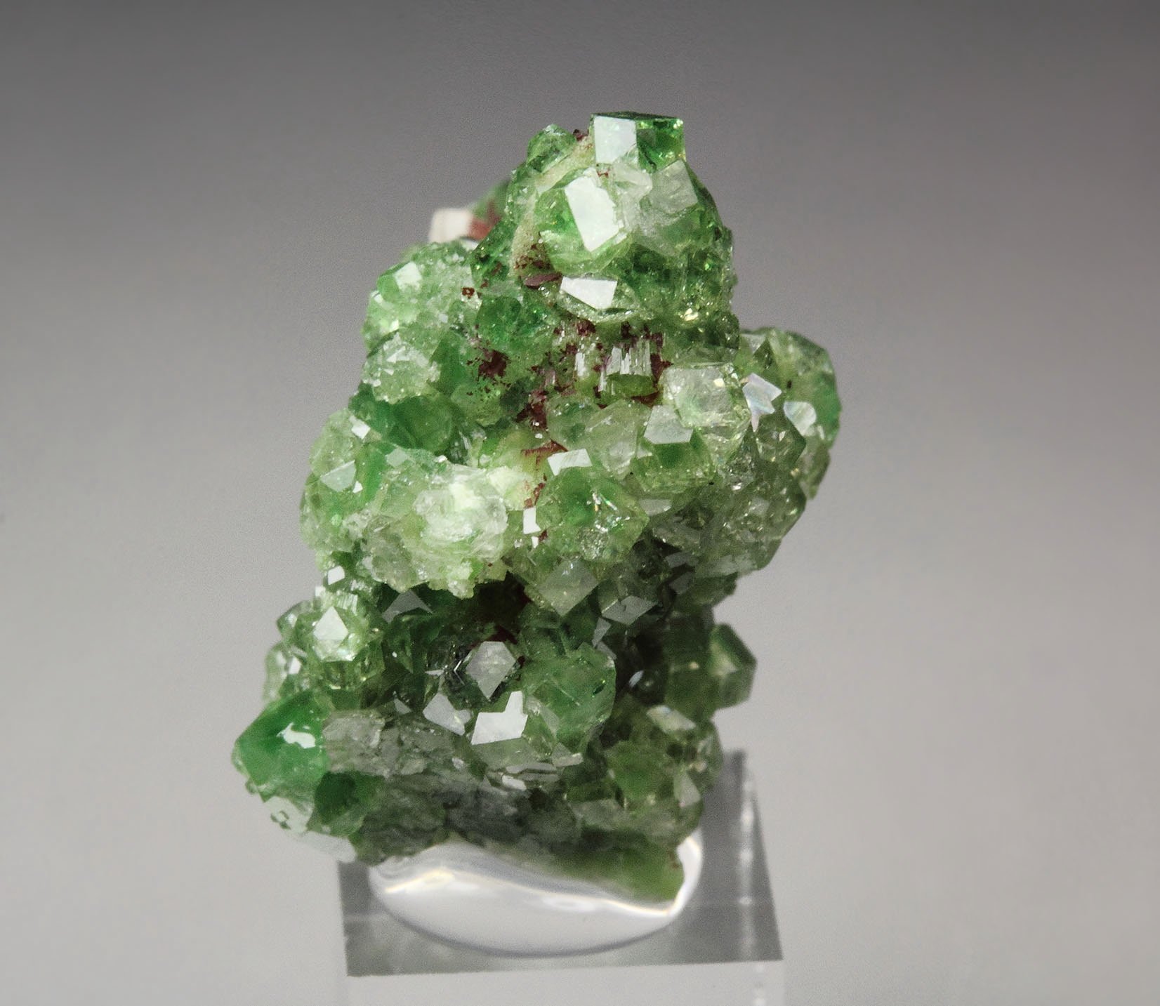 gem GARNET var. GROSSULAR with GREEN CHROMIAN PHANTOMS