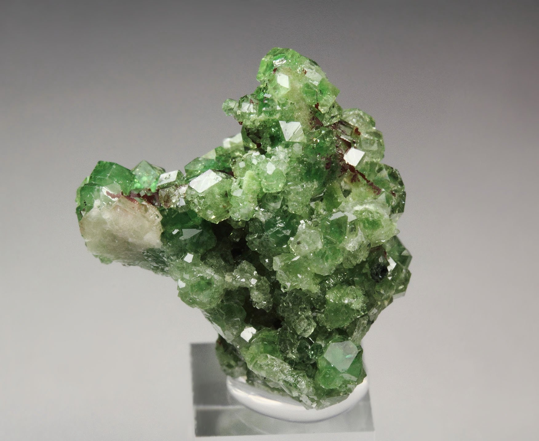 gem GARNET var. GROSSULAR with GREEN CHROMIAN PHANTOMS