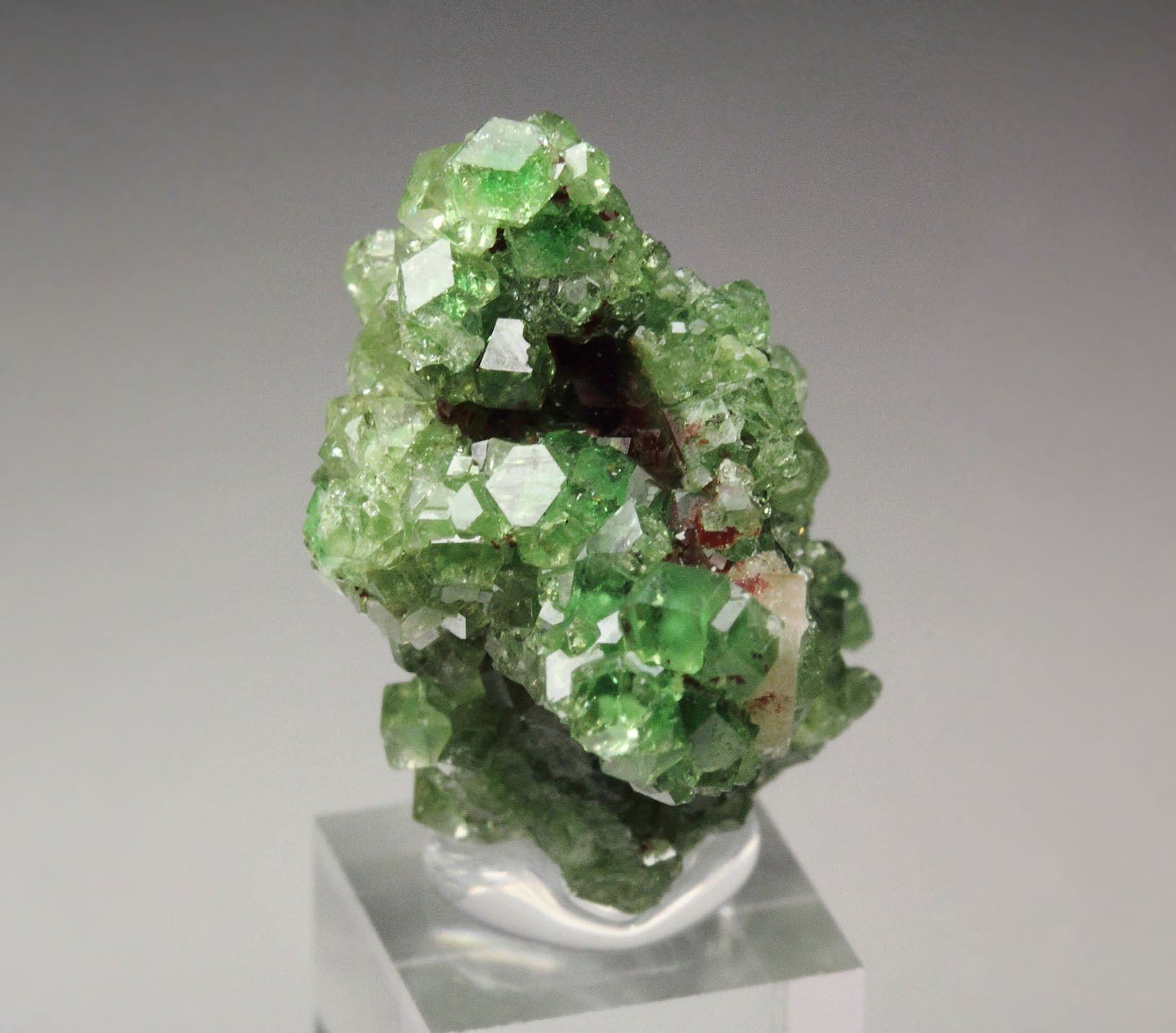 gem GARNET var. GROSSULAR with GREEN CHROMIAN PHANTOMS