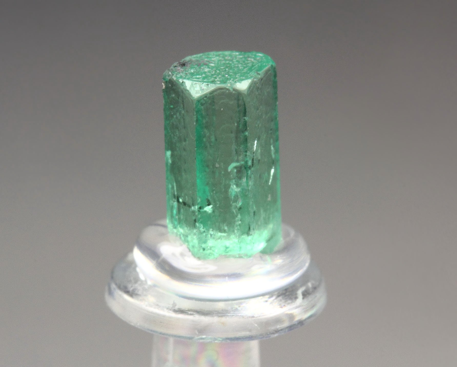 gem BERYL var. EMERALD