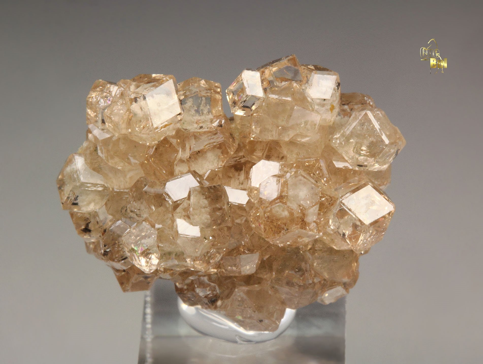 gem GARNET var. GROSSULAR