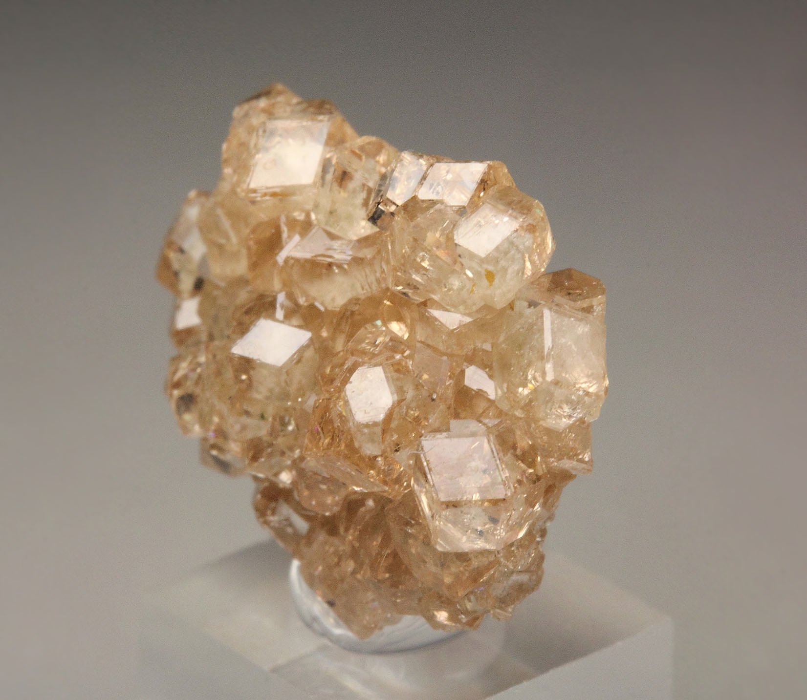 gem GARNET var. GROSSULAR