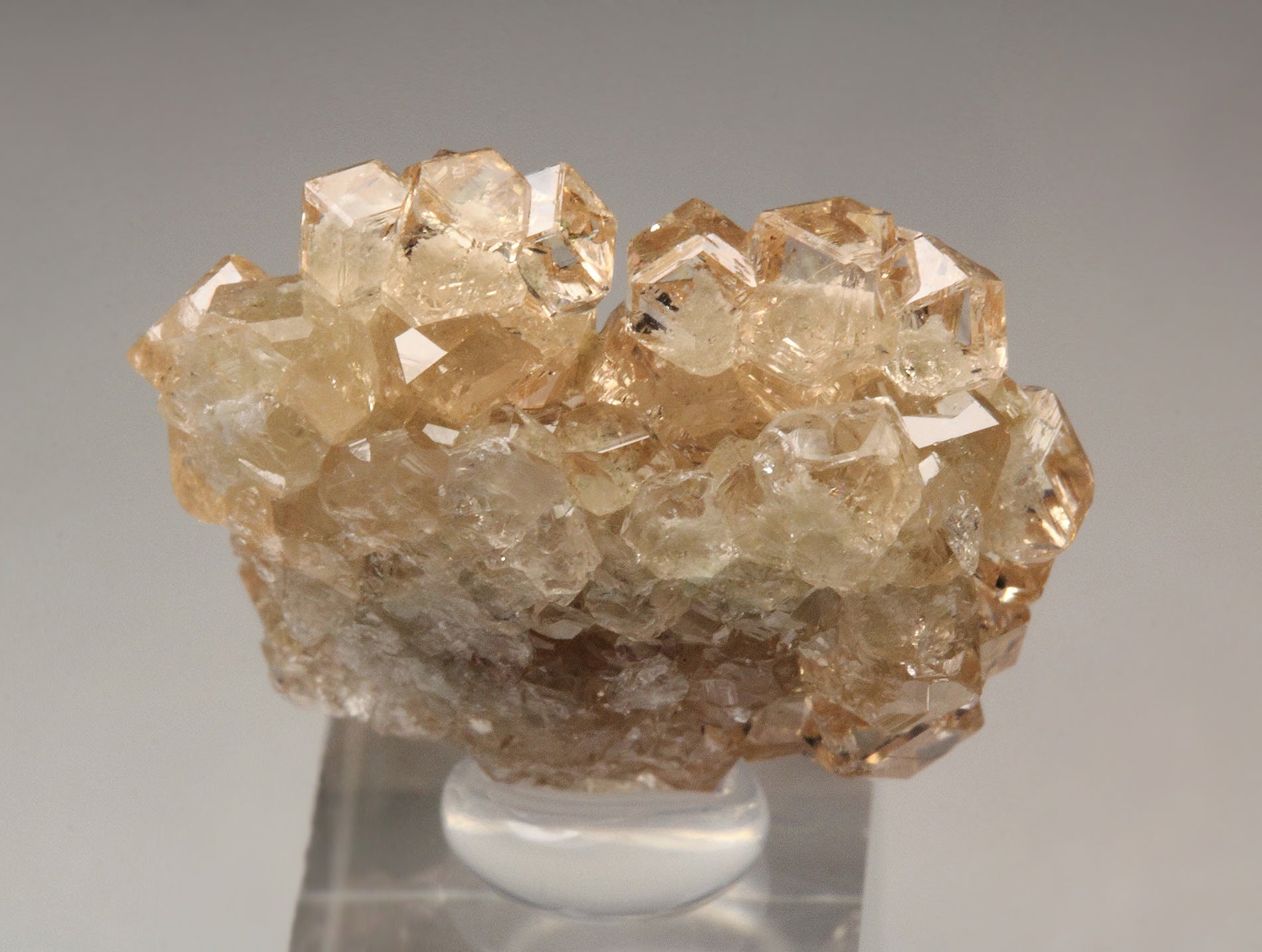 gem GARNET var. GROSSULAR