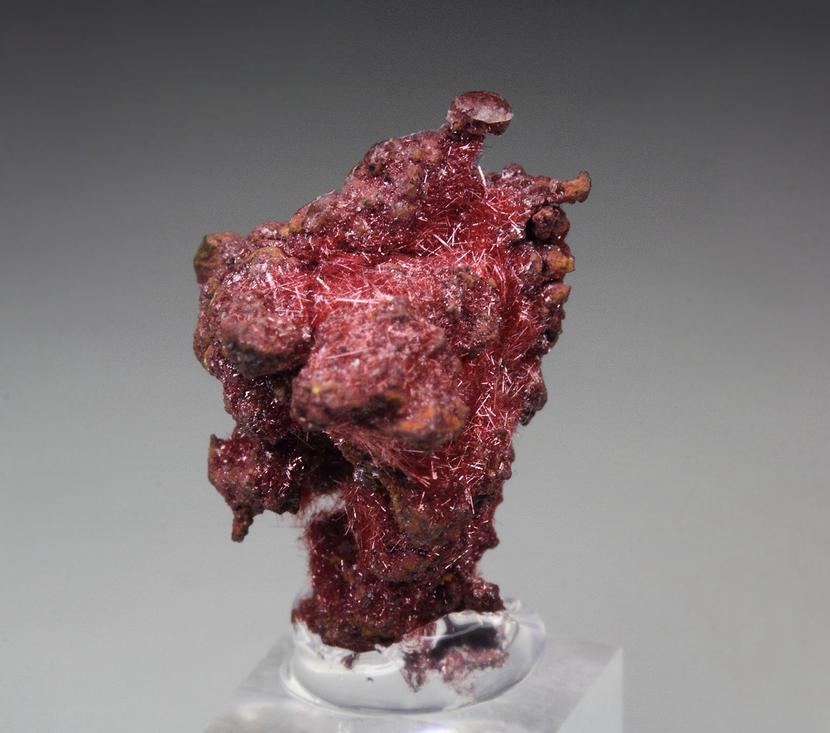 CUPRITE var. CHALCOTRICHITE, COPPER