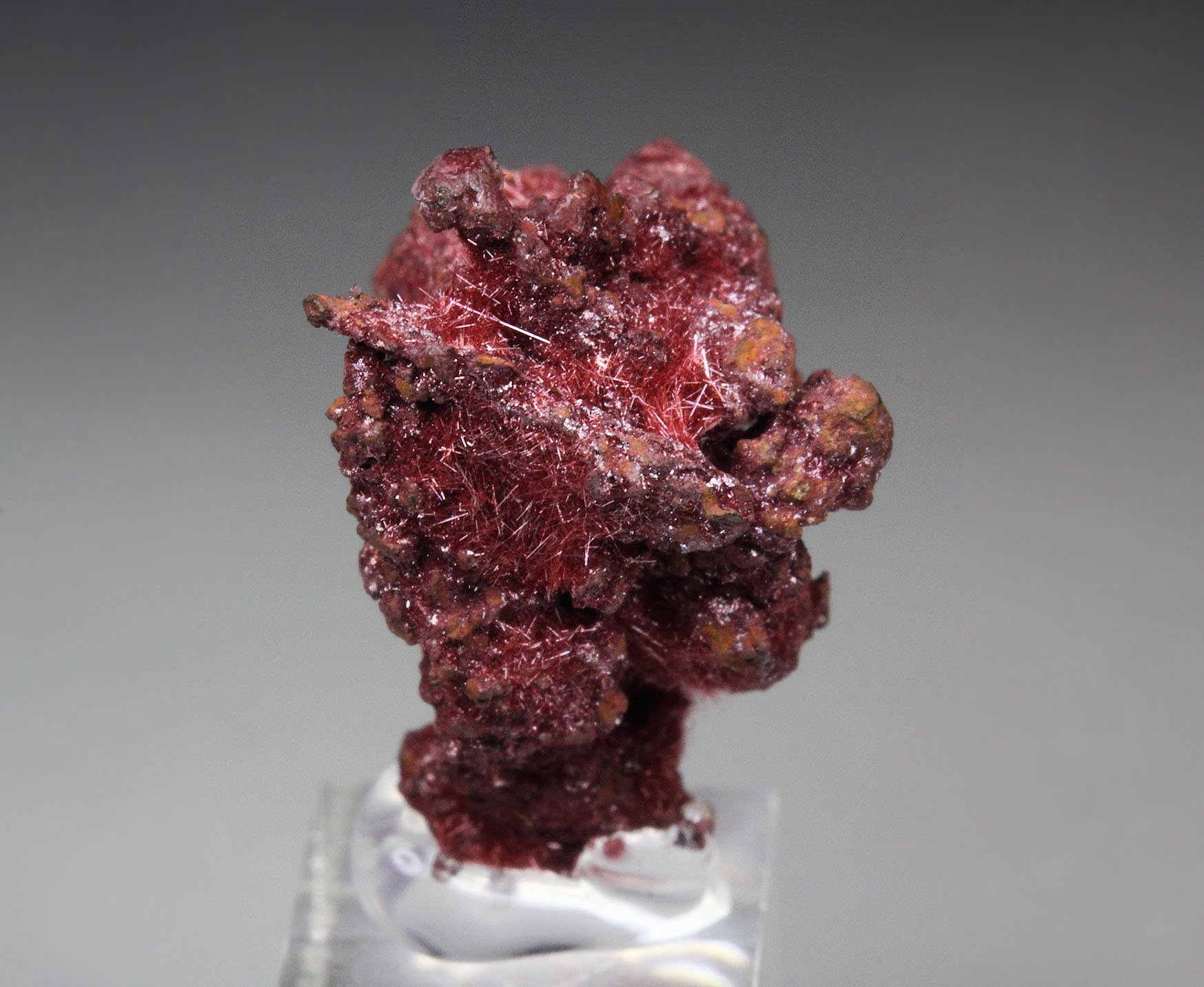 CUPRITE var. CHALCOTRICHITE, COPPER