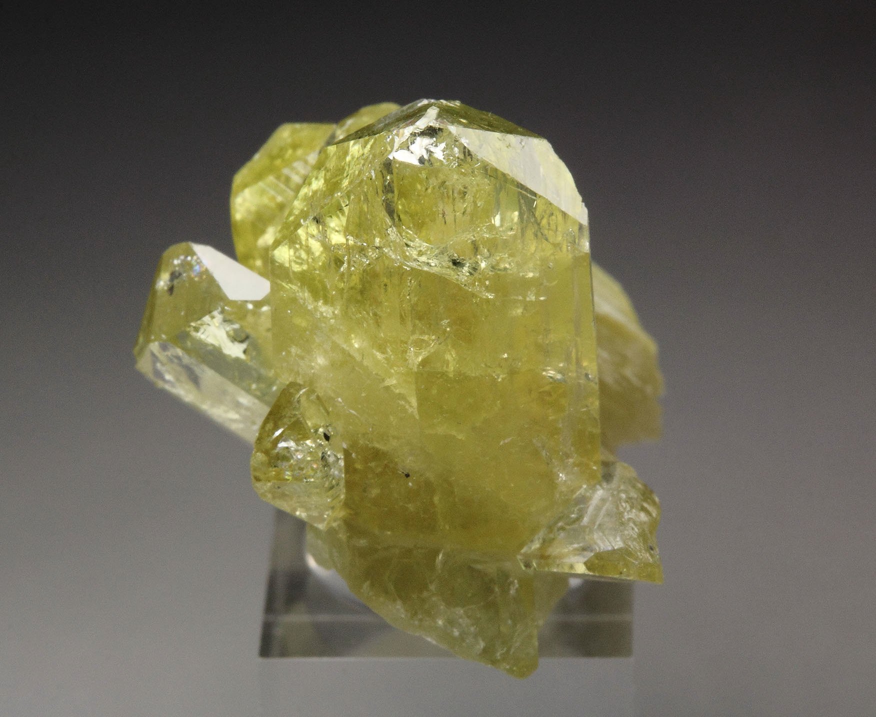 gem BRAZILIANITE, MUSCOVITE