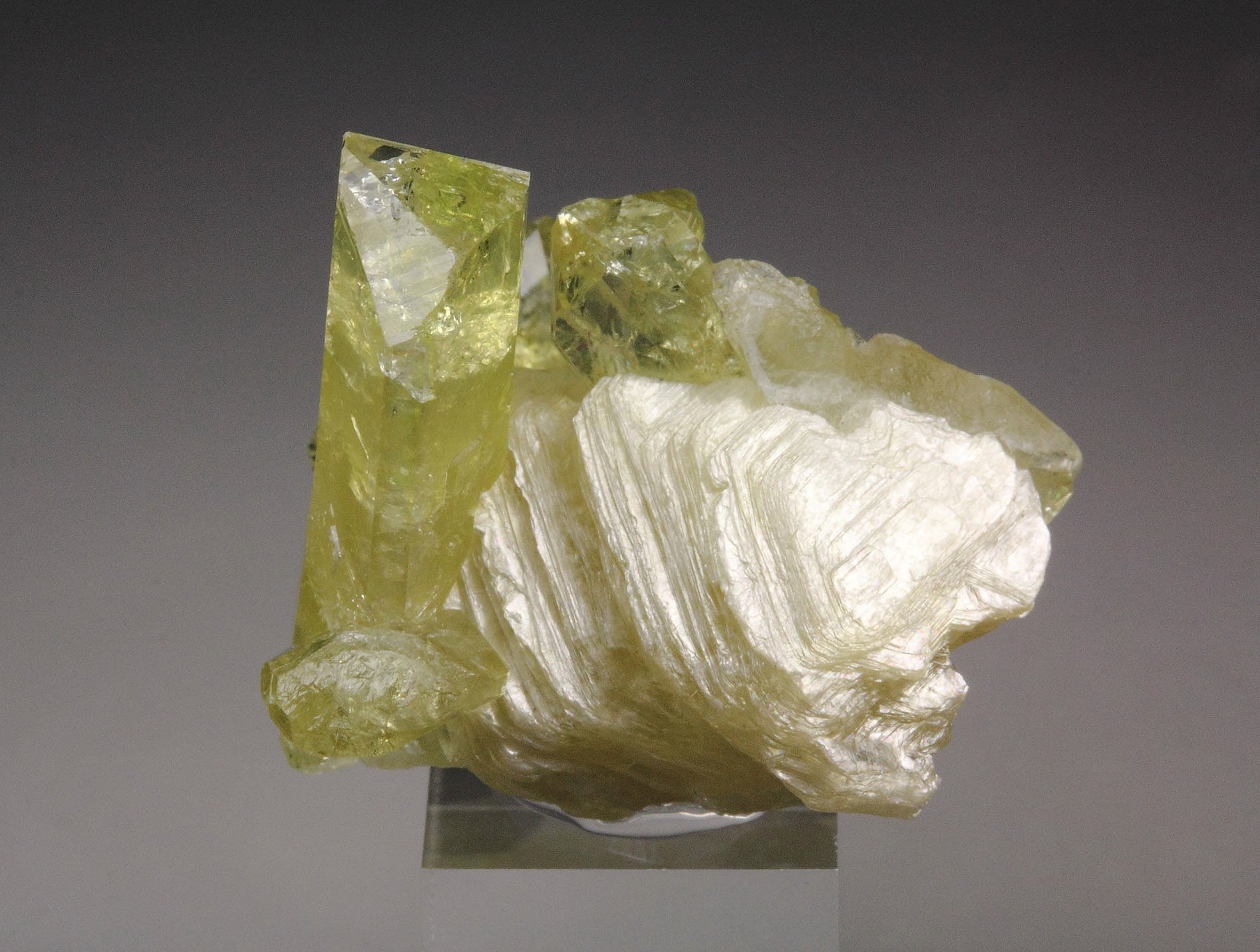 gem BRAZILIANITE, MUSCOVITE