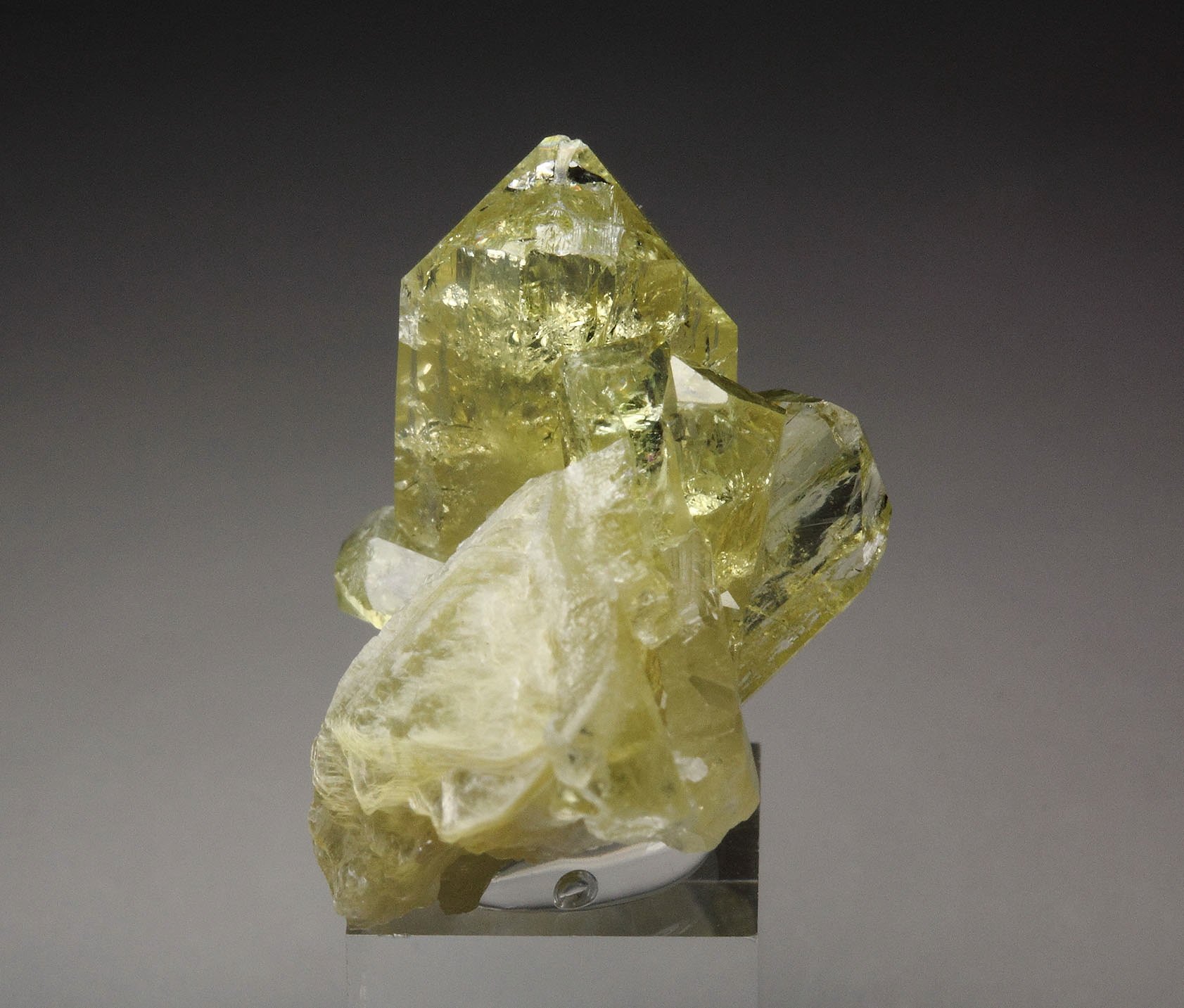 gem BRAZILIANITE, MUSCOVITE