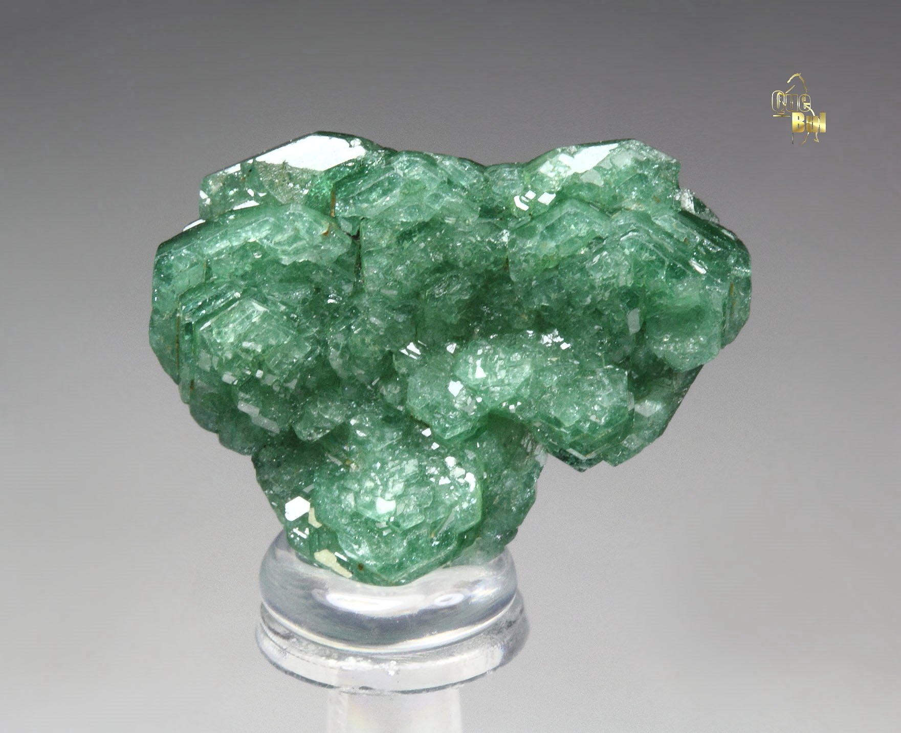 TOURMALINE var. DRAVITE var. CHROMIUM-BEARING DRAVITE rose