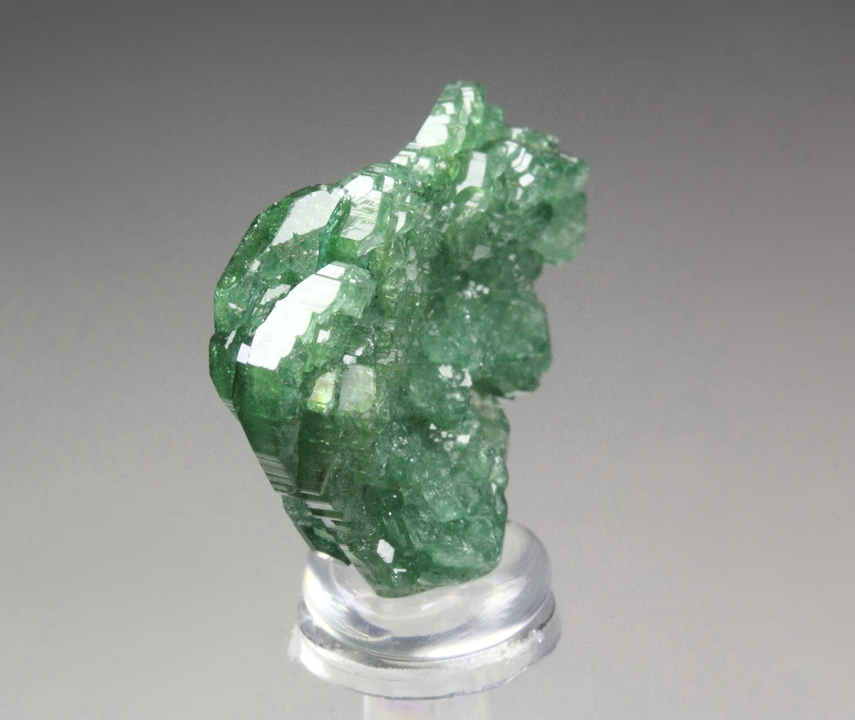 TOURMALINE var. DRAVITE var. CHROMIUM-BEARING DRAVITE rose