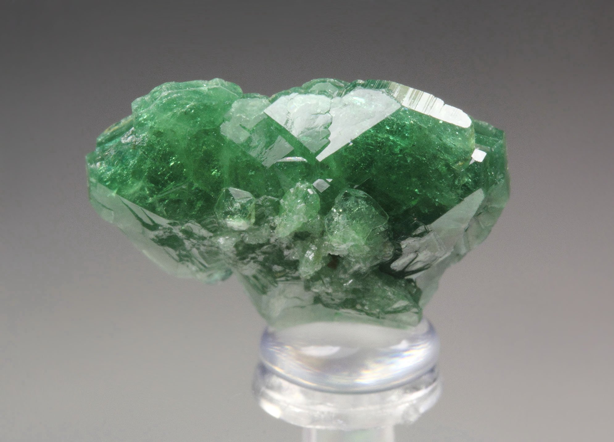 TOURMALINE var. DRAVITE var. CHROMIUM-BEARING DRAVITE rose