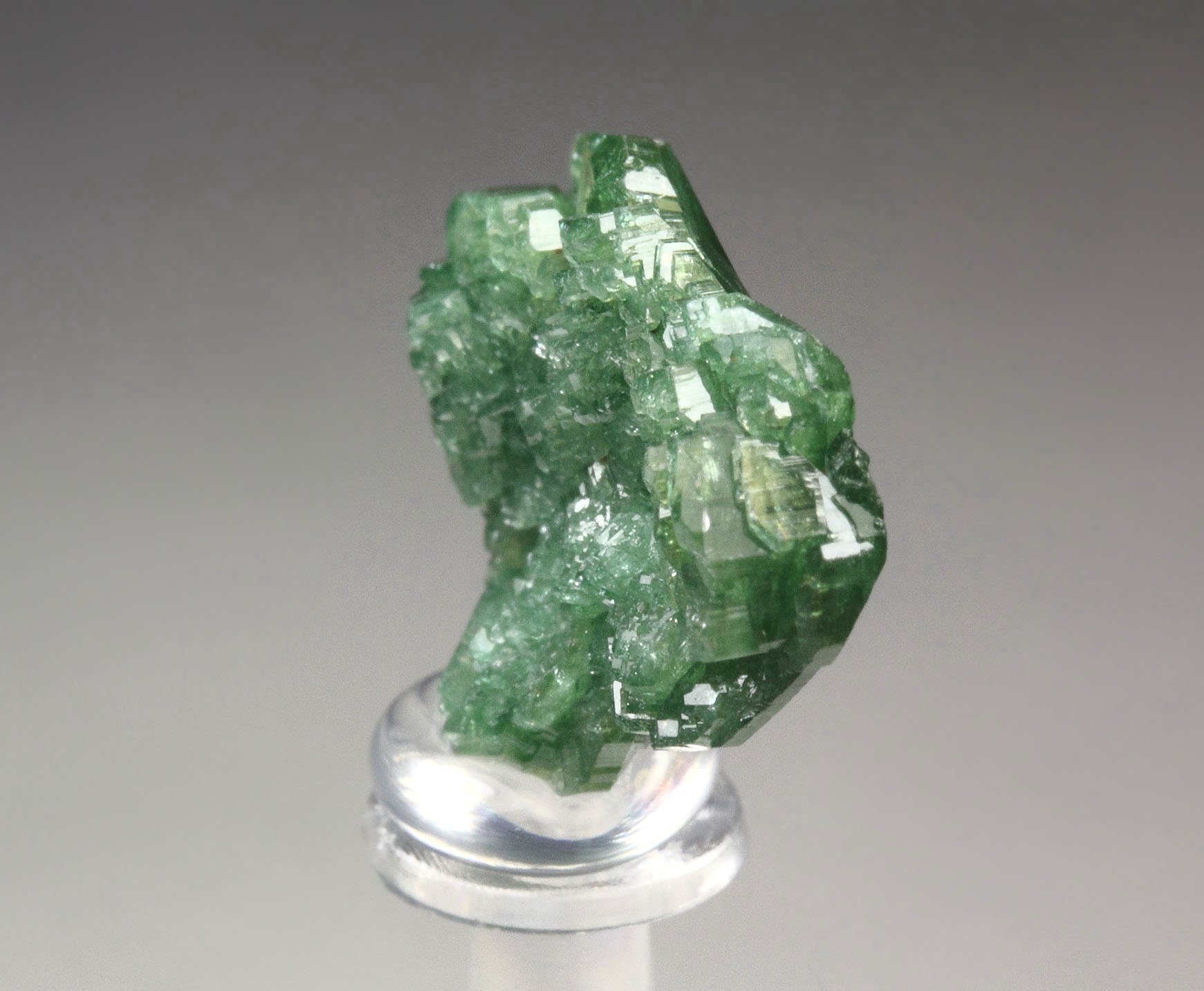 TOURMALINE var. DRAVITE var. CHROMIUM-BEARING DRAVITE rose