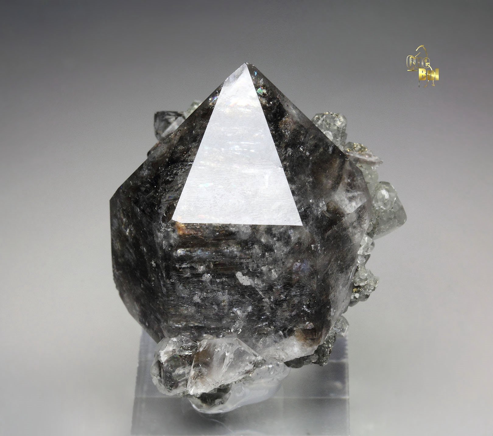 QUARTZ with bitumen inclusions, CALCITE, PYRITE