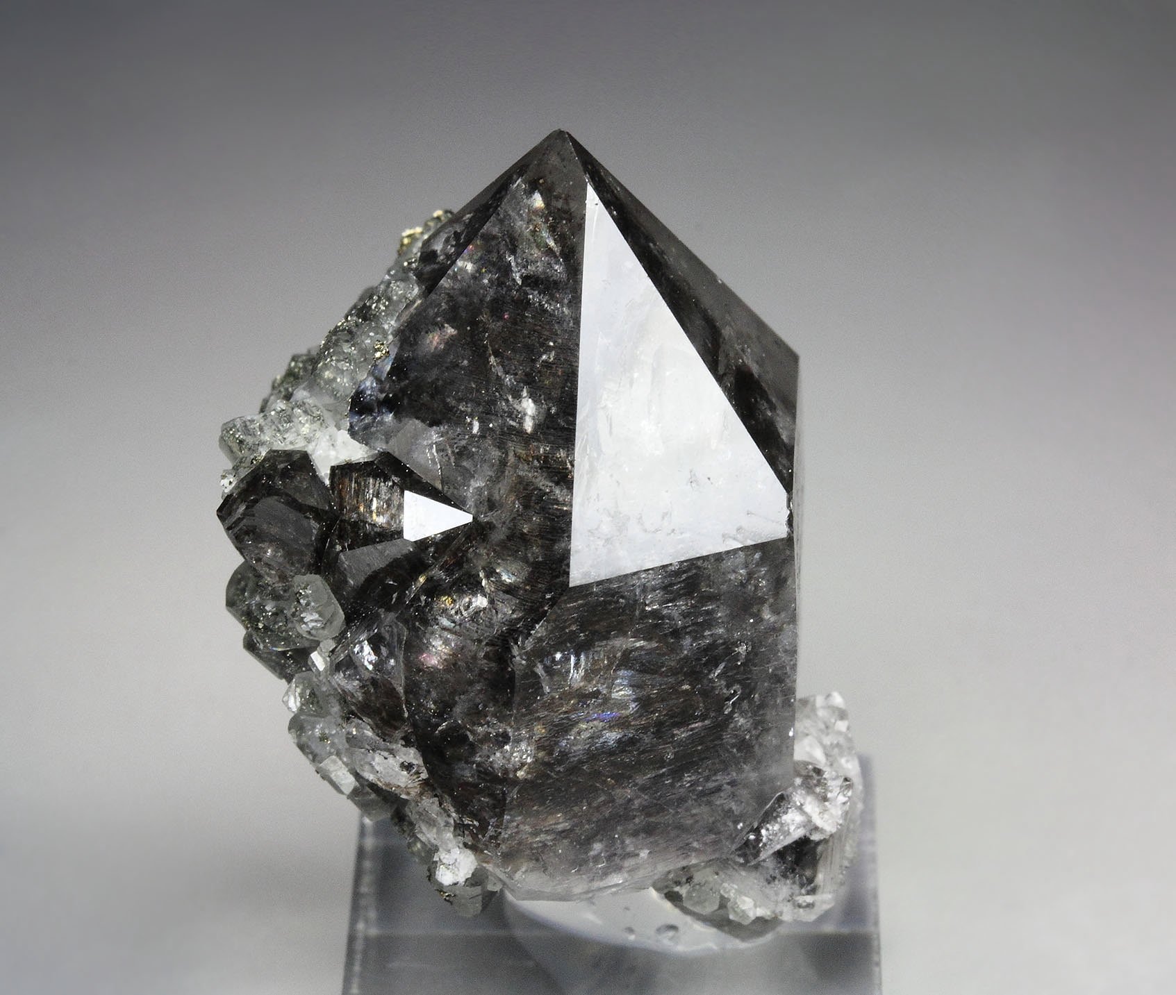 QUARTZ with bitumen inclusions, CALCITE, PYRITE