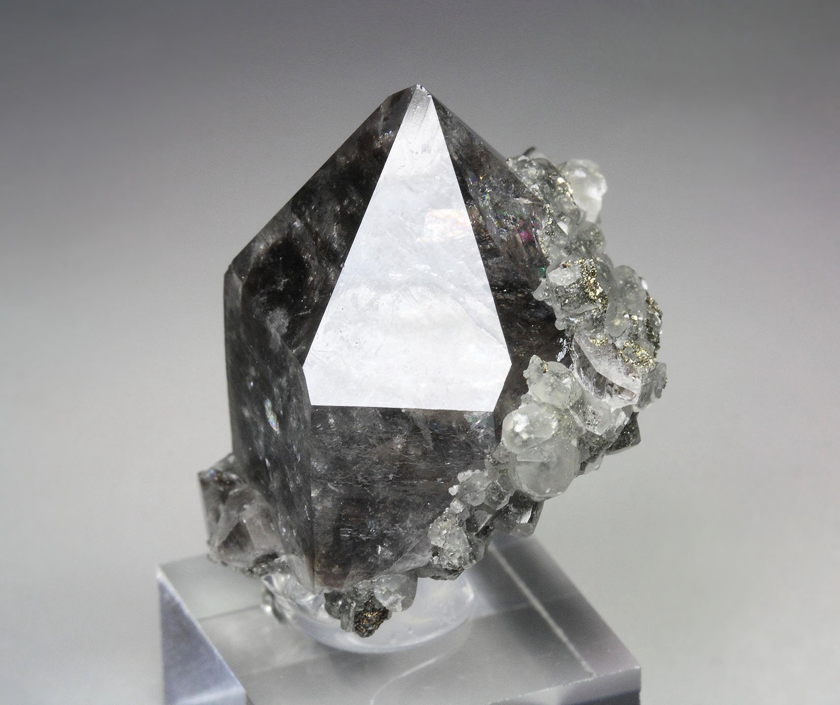 QUARTZ with bitumen inclusions, CALCITE, PYRITE