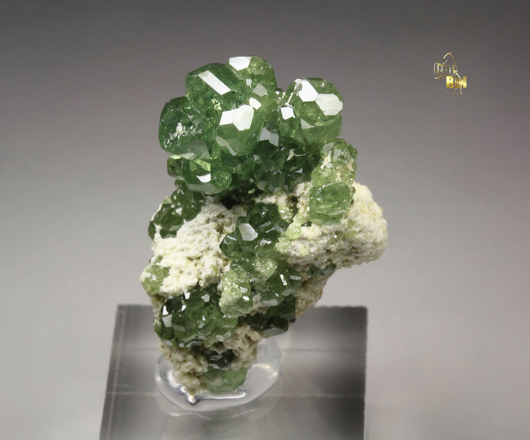 gem GARNET var. ANDRADITE var. DEMANTOID