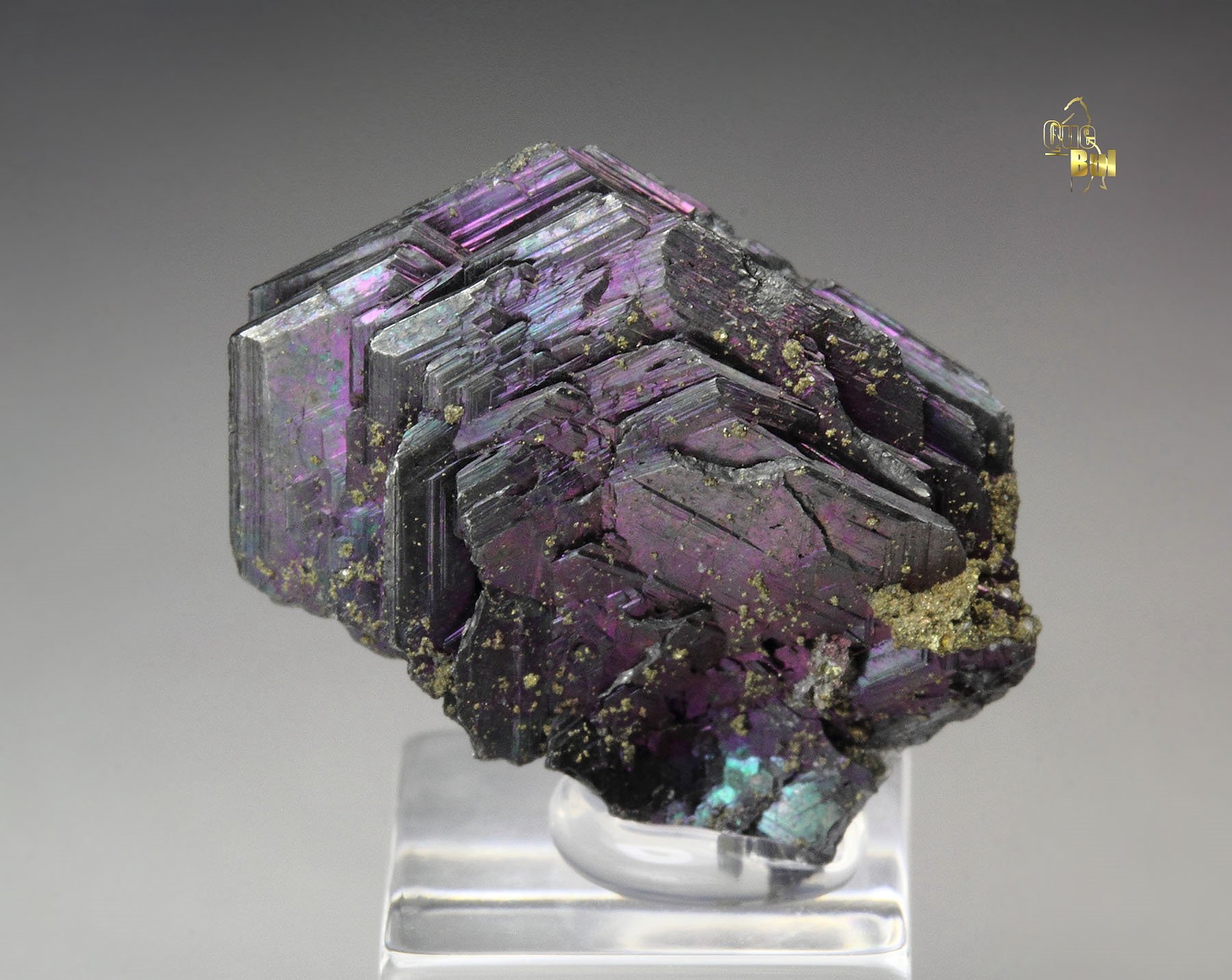 iridescent POLYBASITE