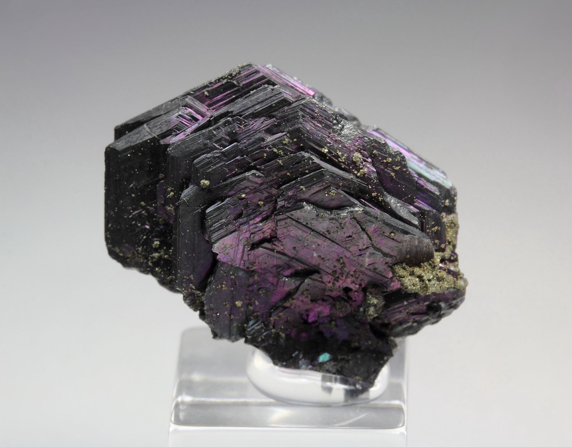 iridescent POLYBASITE