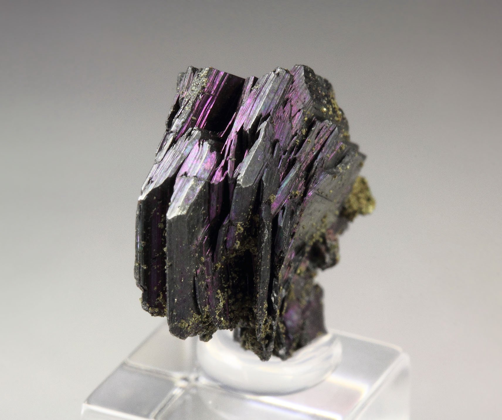 iridescent POLYBASITE