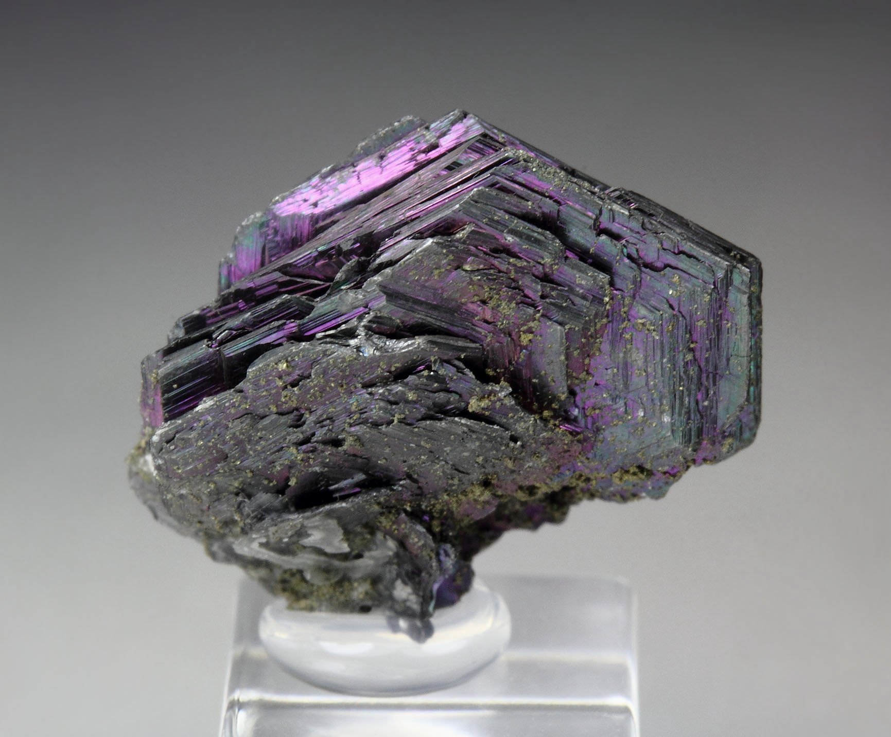 iridescent POLYBASITE