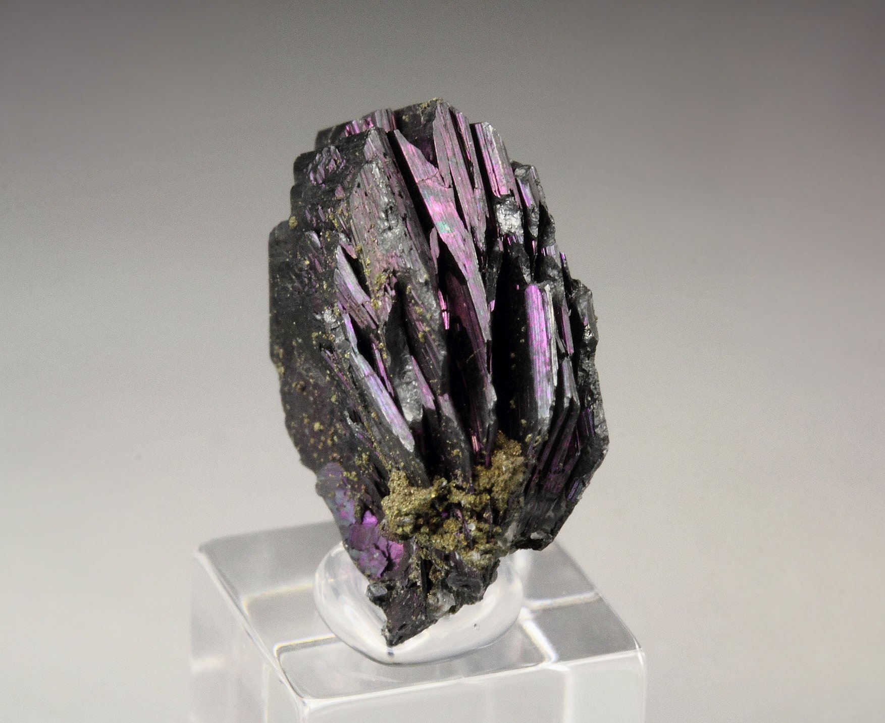 iridescent POLYBASITE