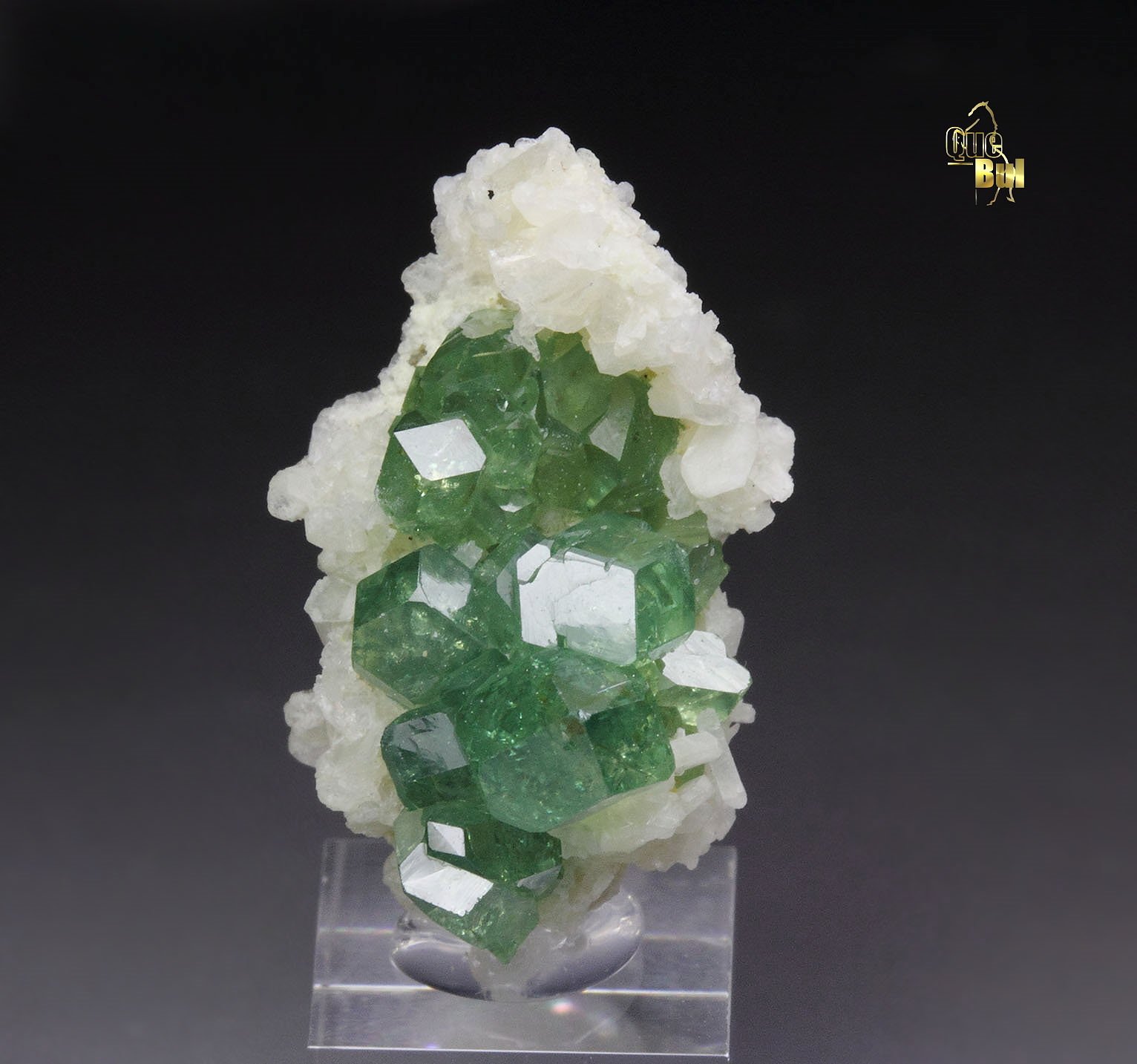 gem GARNET var. ANDRADITE var. DEMANTOID